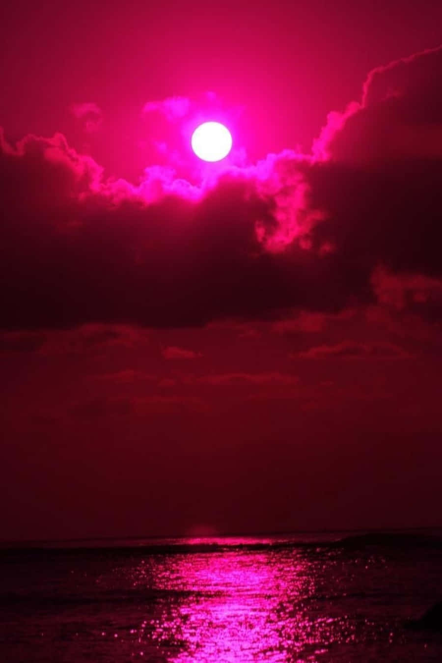 粉紅太陽照耀海洋 壁紙