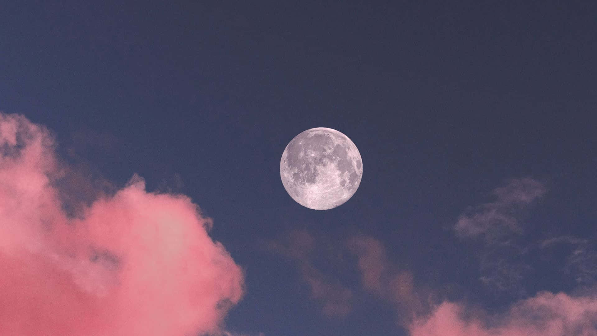 粉紅月亮