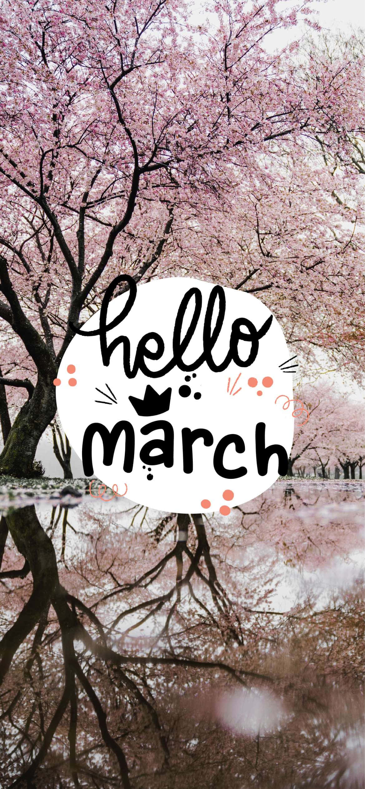 Hello March 桌布 壁紙 — 粉紅櫻花在倒映在水中的樹上盛開，帶有 'hello march' 圖形疊加。