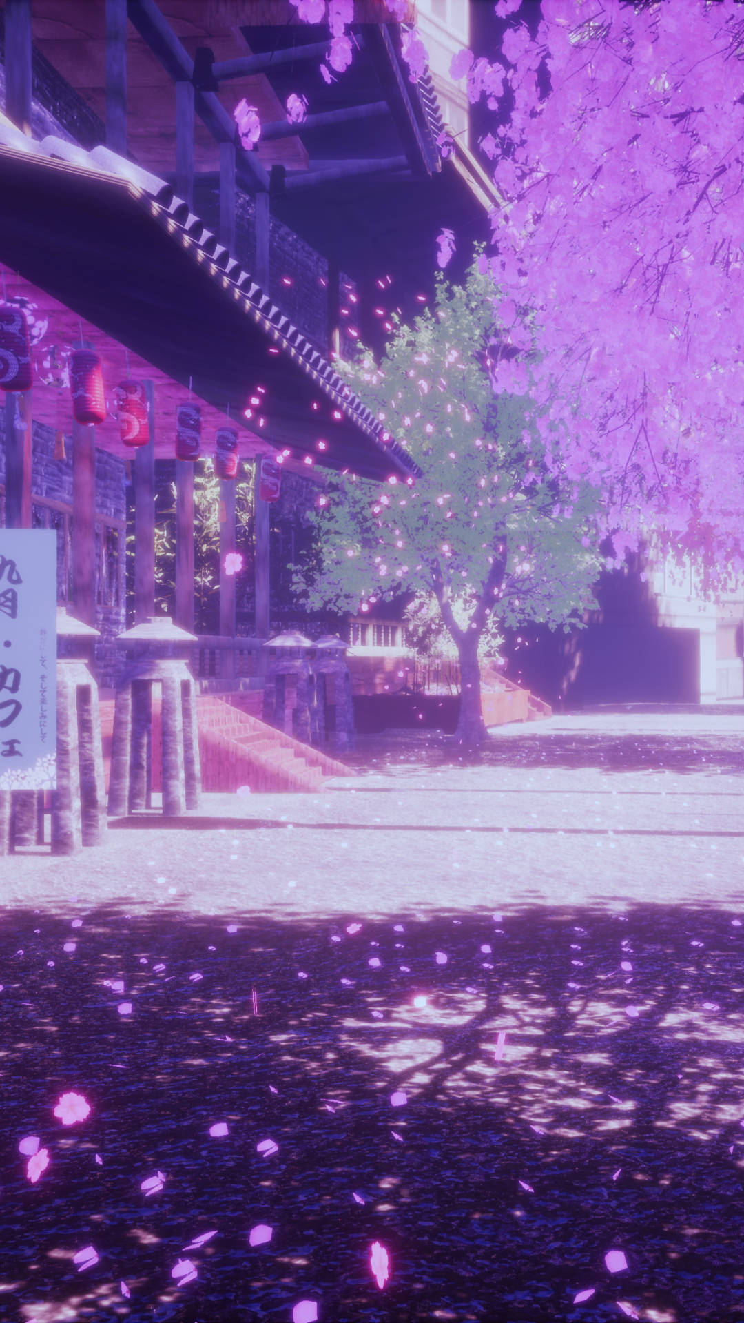 櫻花 桌布 壁紙 — 粉紅櫻花在暮色中飄過傳統日本神社，伴隨著發光的燈籠和柔和的紫色燈光。