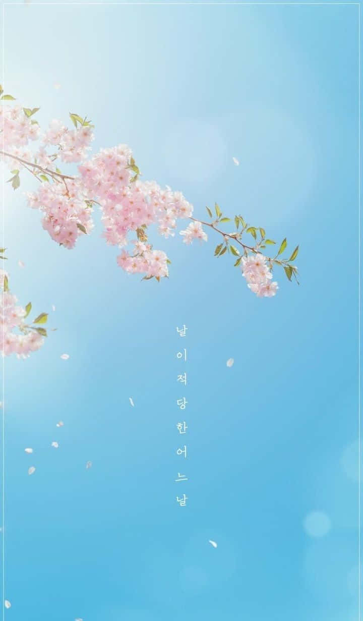 Aesthetic Korean 桌布 壁紙 — 粉紅櫻花在柔和藍天下輕輕飄動，有飄浮花瓣和韓文文字。