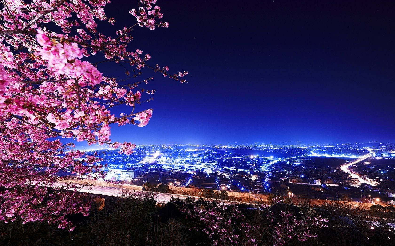 夜晚 桌布 壁紙 — 粉紅櫻花框住在深藍夜空下閃爍的廣闊城市景觀。