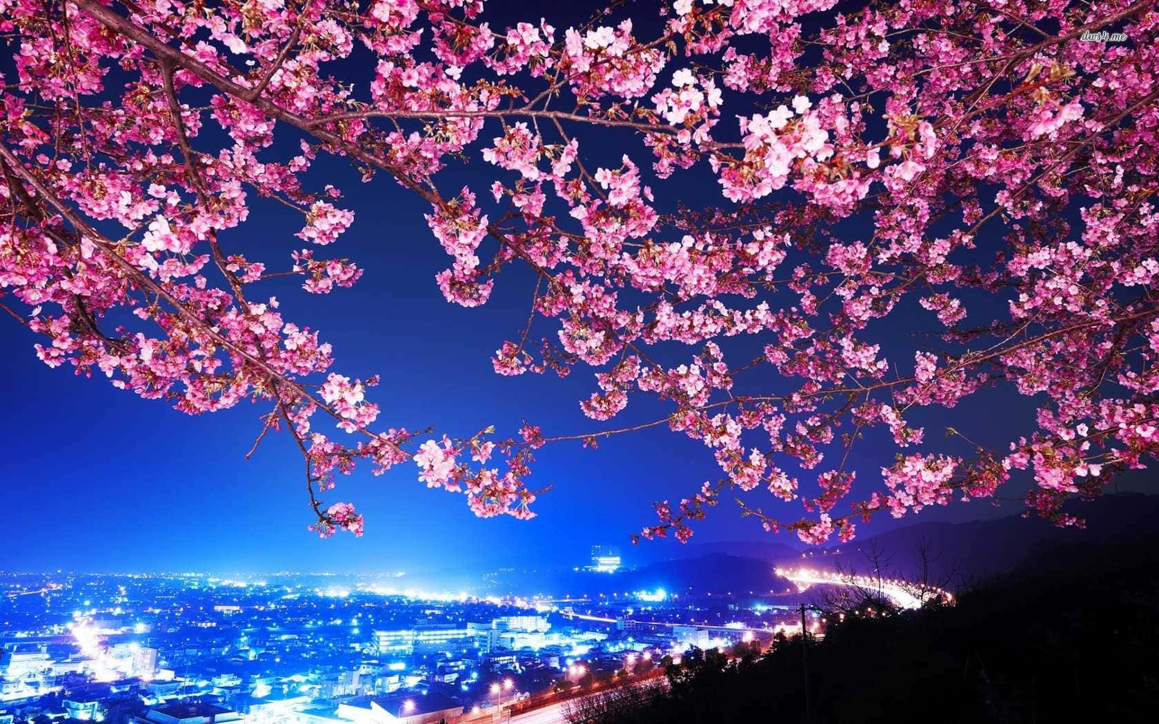 Night Cherry Blossom 桌布 壁紙 — 粉紅櫻花環繞著在深藍夜空下閃爍的城市天際線。