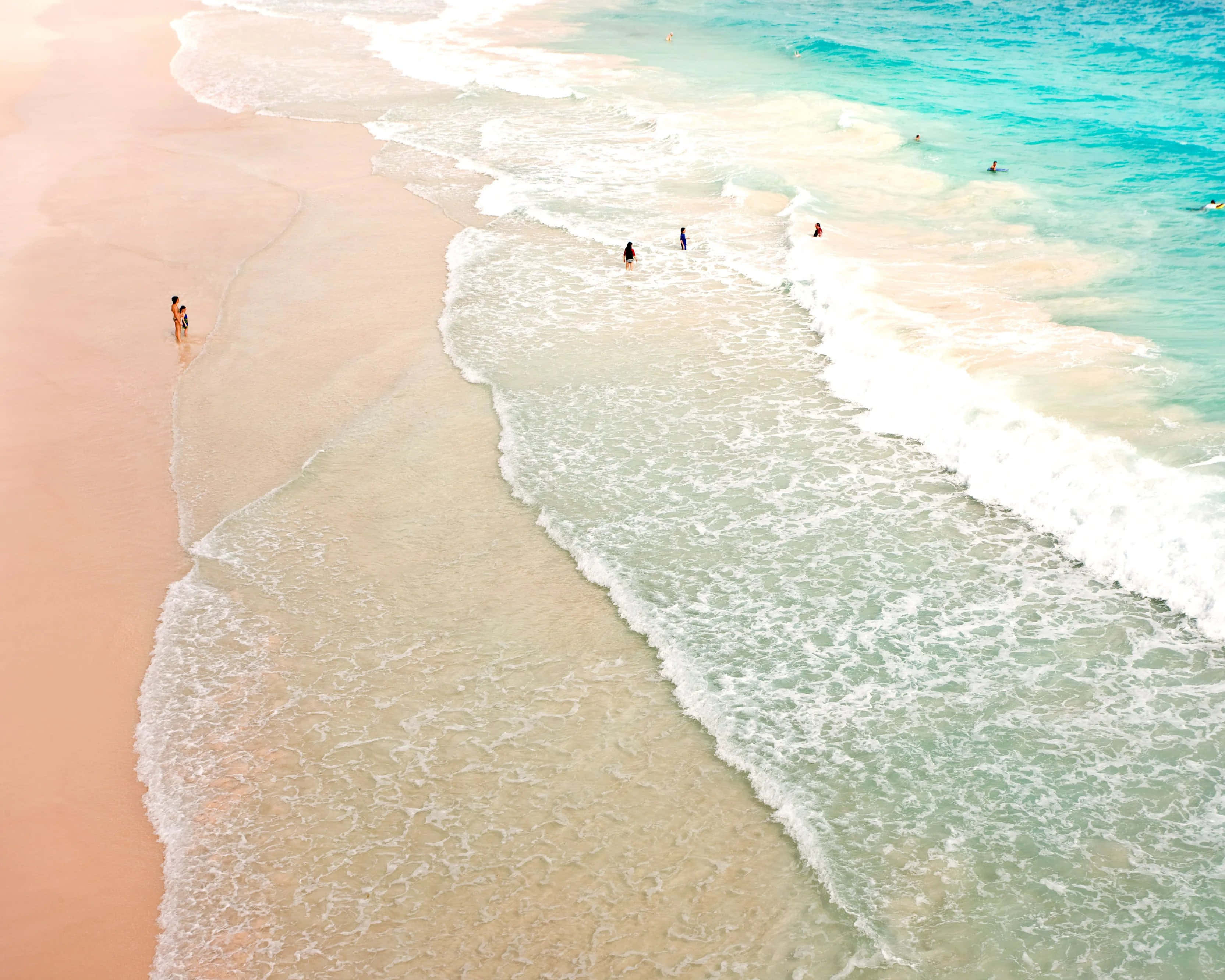 sand 桌布 壁紙 — 粉紅沙灘的鳥瞰圖，綠松石色的海浪翻滾，人們在水中享受。