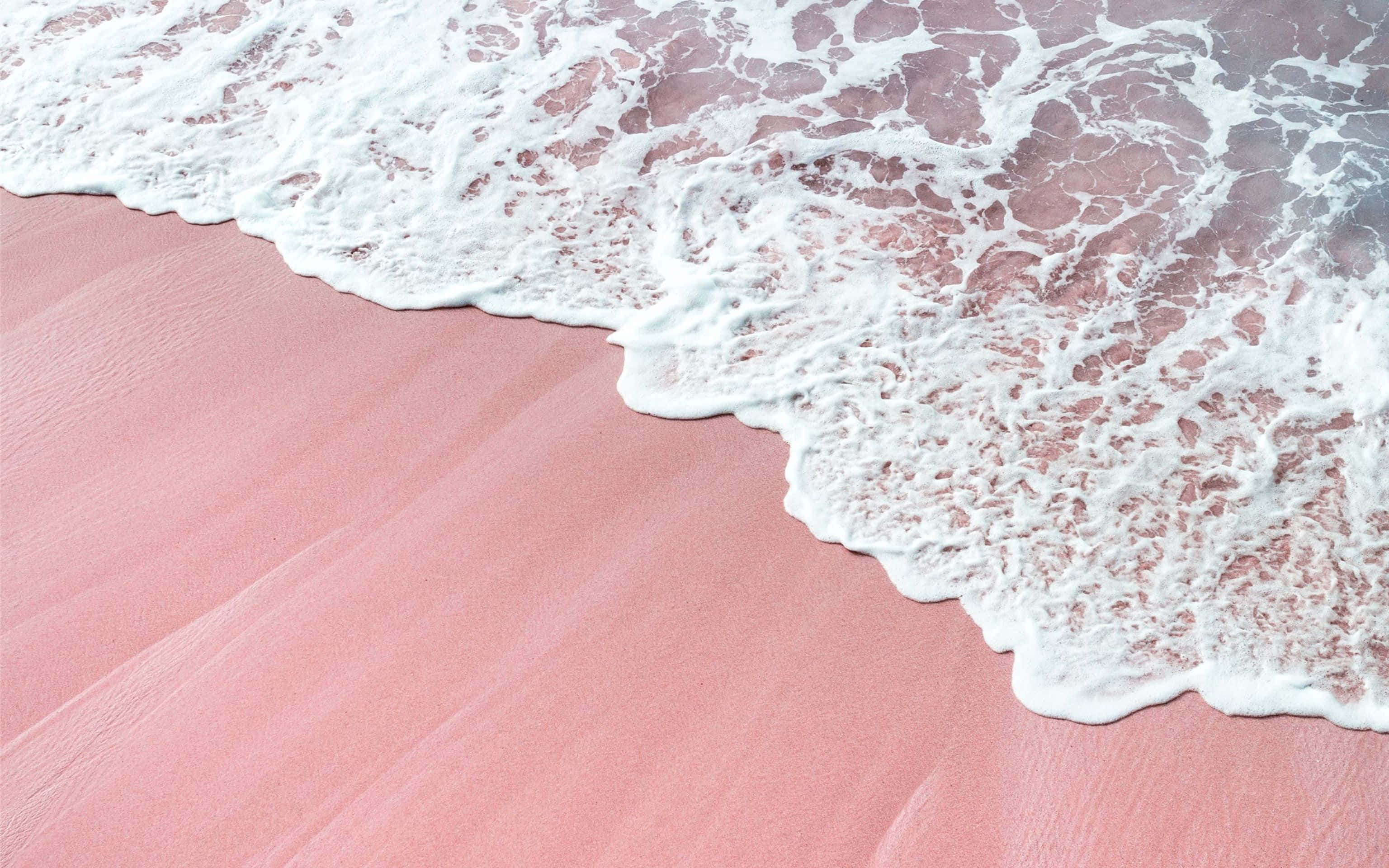 粉紅沙灘與海浪 壁紙