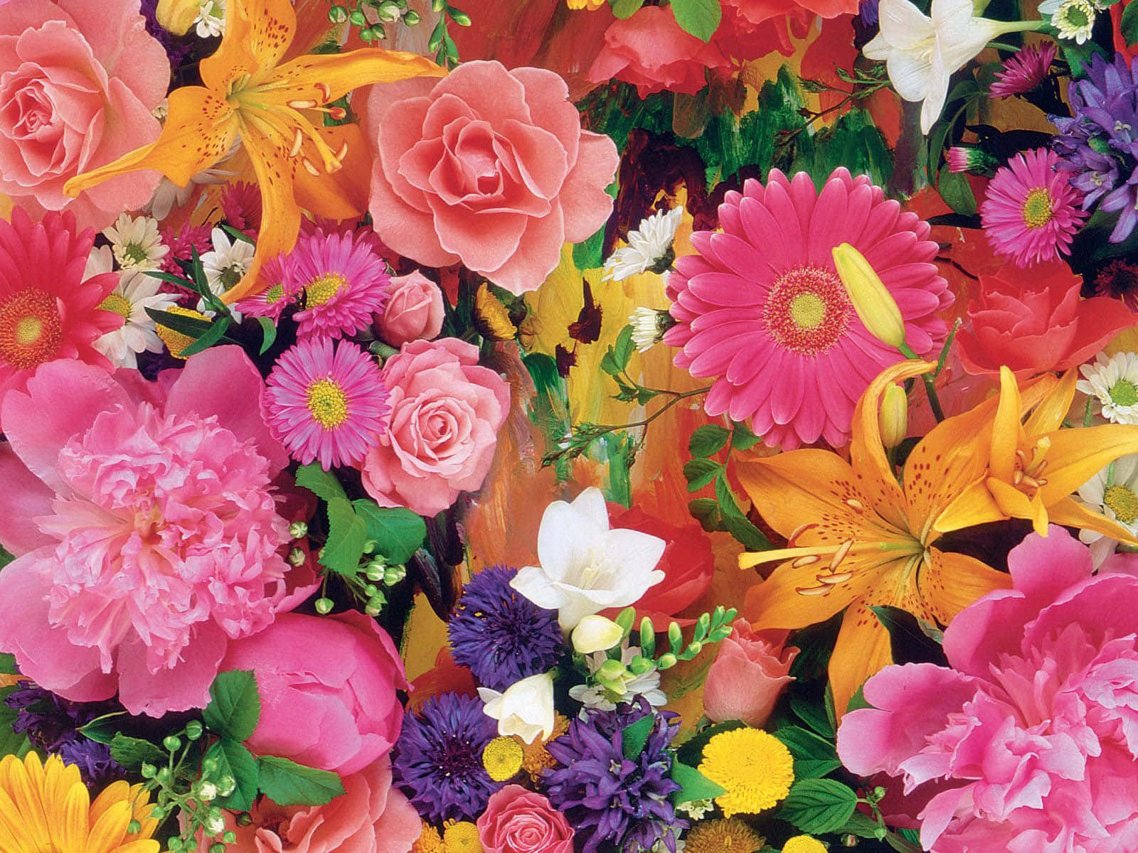 藝術 桌布 壁紙 — 粉紅玫瑰、牡丹、百合和雛菊在茂盛的花束中綻放出鮮豔的色彩。
