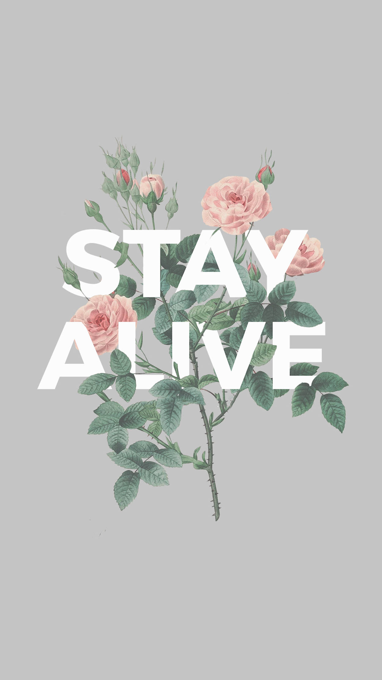 超炫 iPhone 桌布 壁紙 — 粉紅玫瑰和綠葉圍繞著粗體白色文字 'STAY ALIVE'，背景為柔和的灰色。