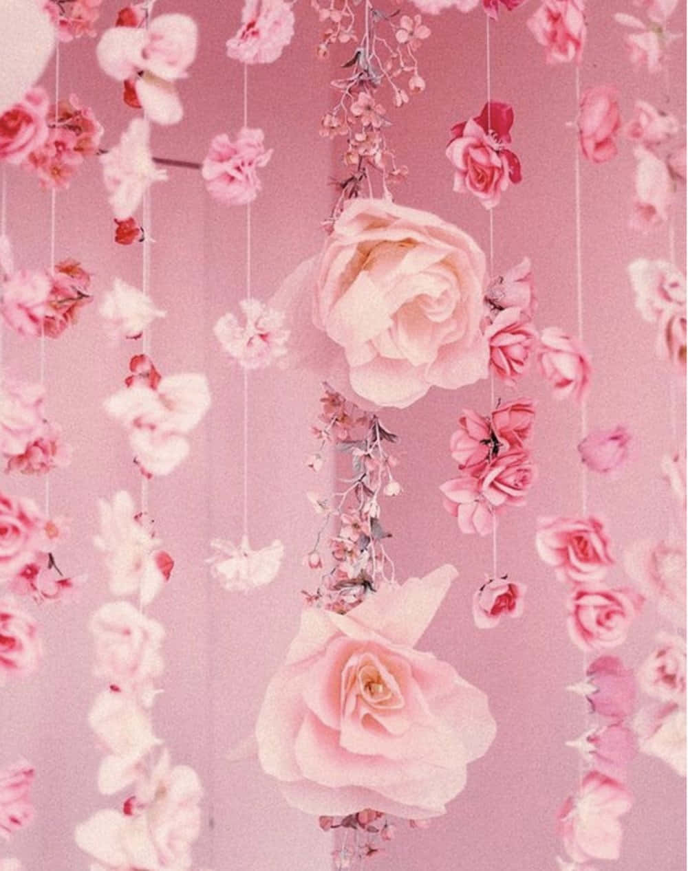 Aesthetic Rose 桌布 壁紙 — 粉紅玫瑰和花朵以柔軟的繩索形式層疊在夢幻的粉彩粉紅背景上。