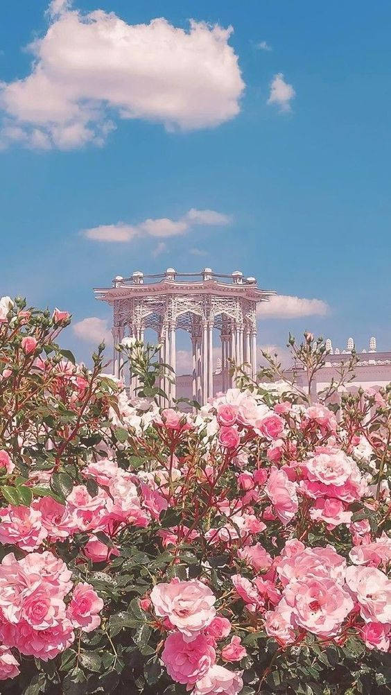 Pink Vintage Aesthetic 桌布 壁紙 — 粉紅玫瑰在前景盛開，華麗的白色涼亭在明亮的藍天和蓬鬆的雲朵下。