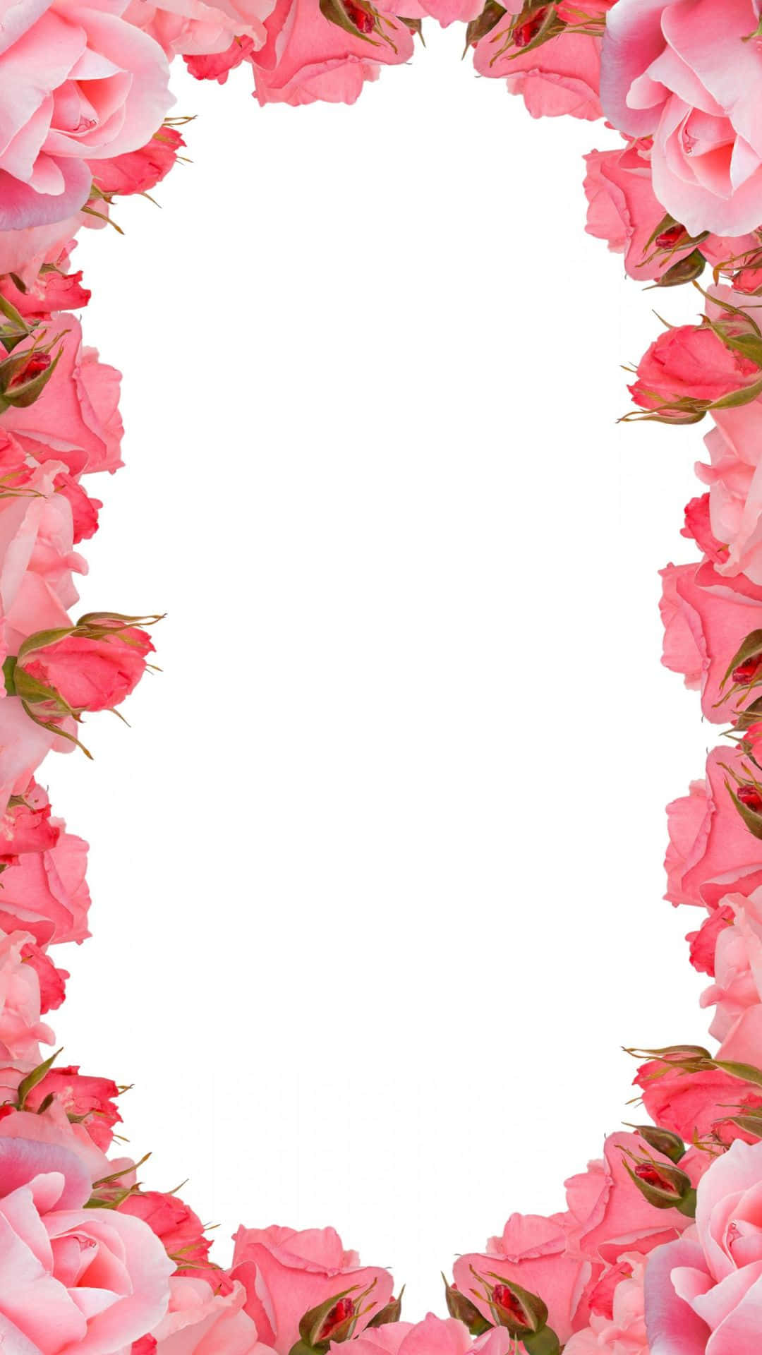 Floral Phone 桌布 壁紙 — 粉紅玫瑰形成精緻的花卉邊框，框住空白白色空間，用於文字或設計。