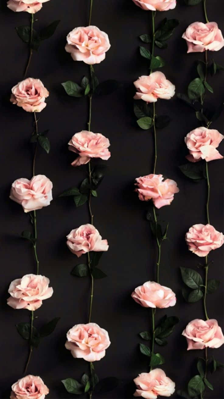 Pretty Flower 桌布 壁紙 — 粉紅玫瑰配綠色莖部垂直排列在深色背景上，形成重複圖案。