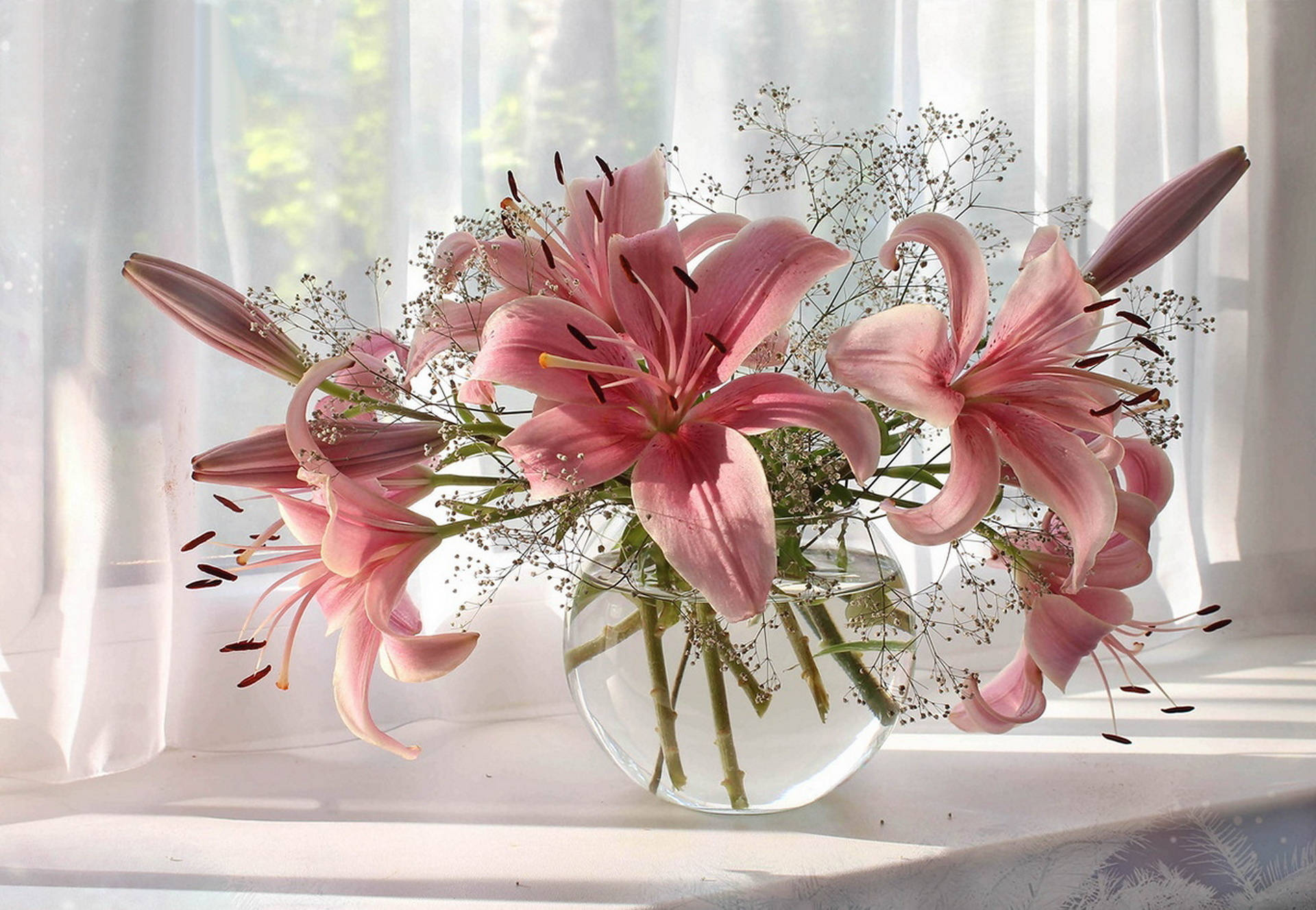 Bouquet 桌布 壁紙 — 粉紅百合和滿天星在透明玻璃花瓶中盛開，放在陽光灑落的窗台上，搭配輕柔窗簾。