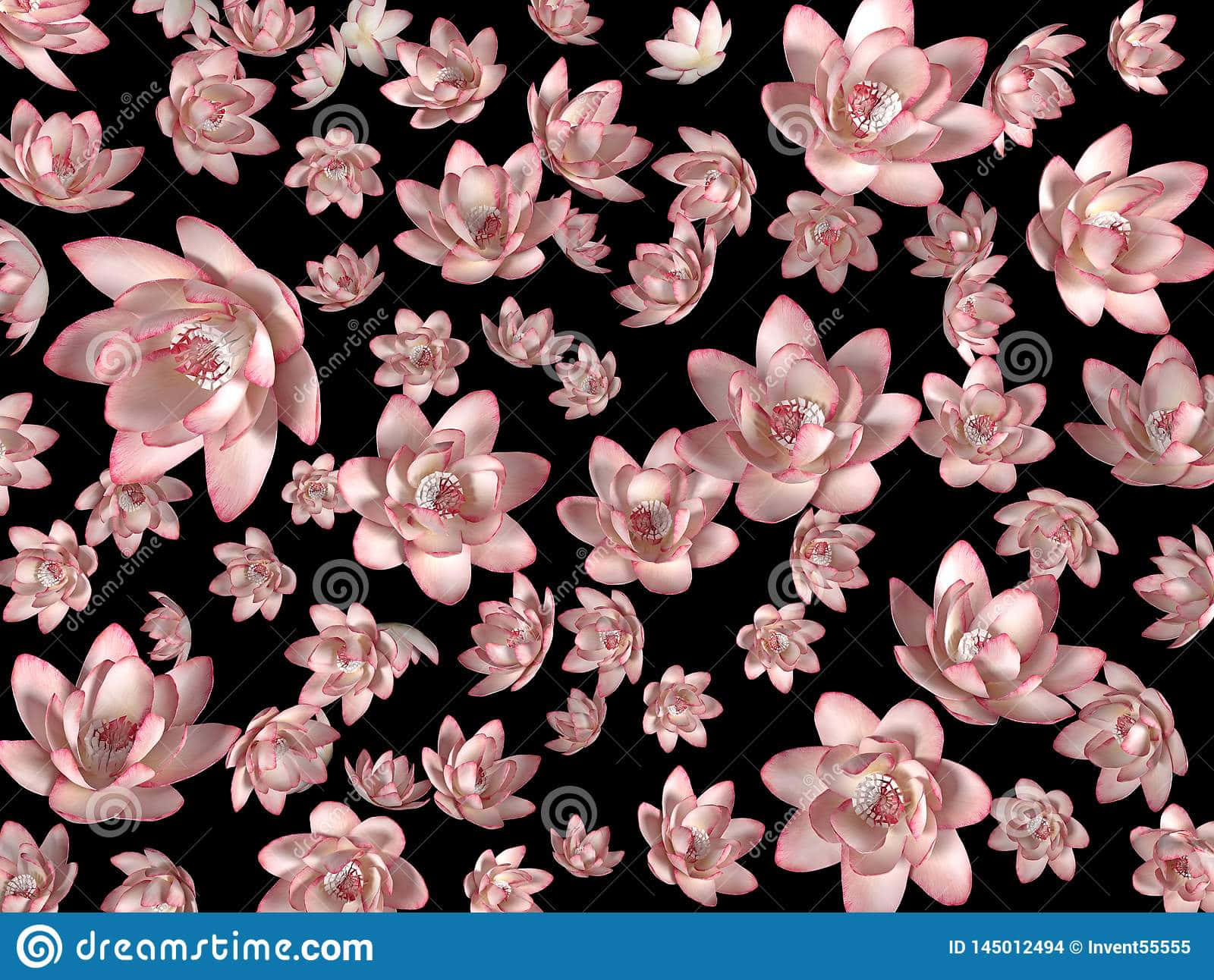 Black And Pink Flower 桌布 壁紙 — 粉紅睡蓮在純黑背景上以重複圖案優雅漂浮。