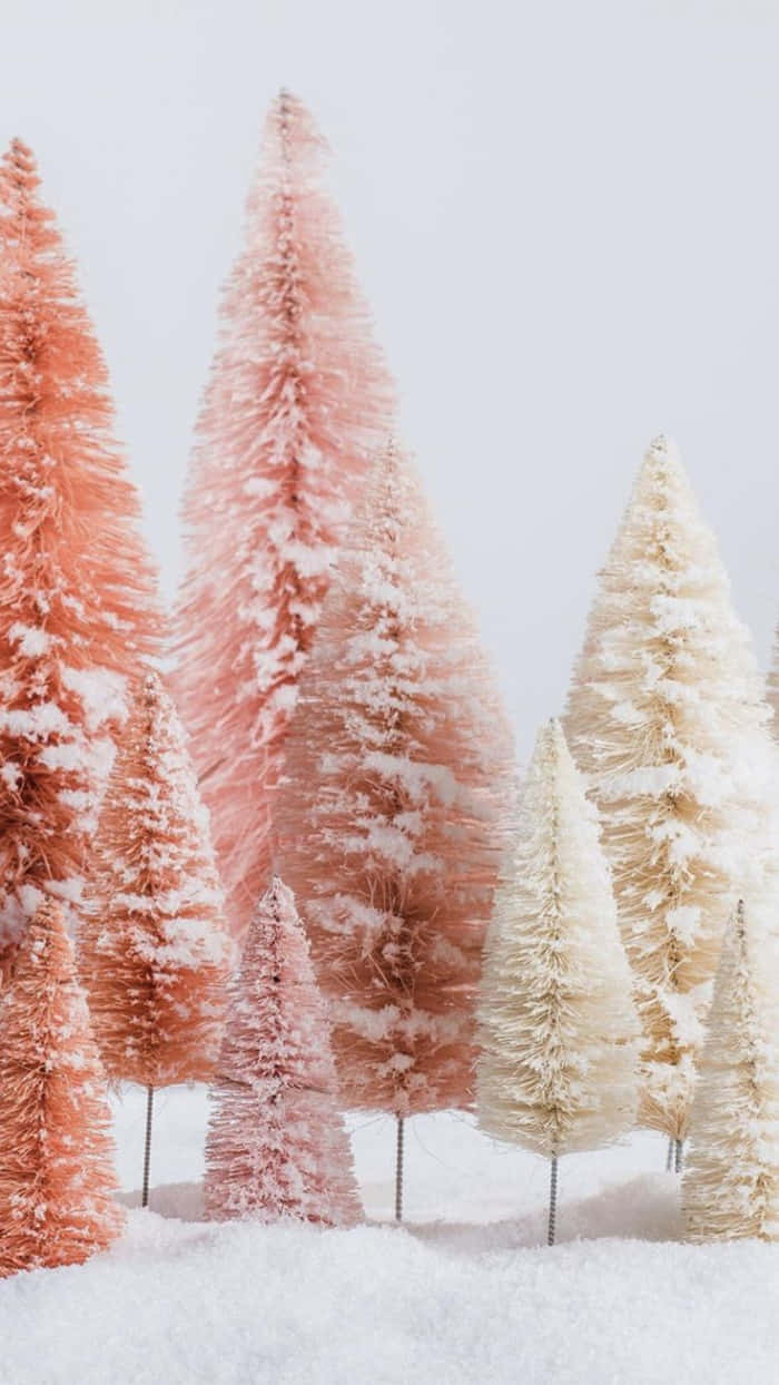 Pink Christmas Tree 桌布 壁紙 — 粉紅色和奶油色的瓶刷樹上灑滿了雪，在蒼白的天空下呈現出柔和的冬日景象。