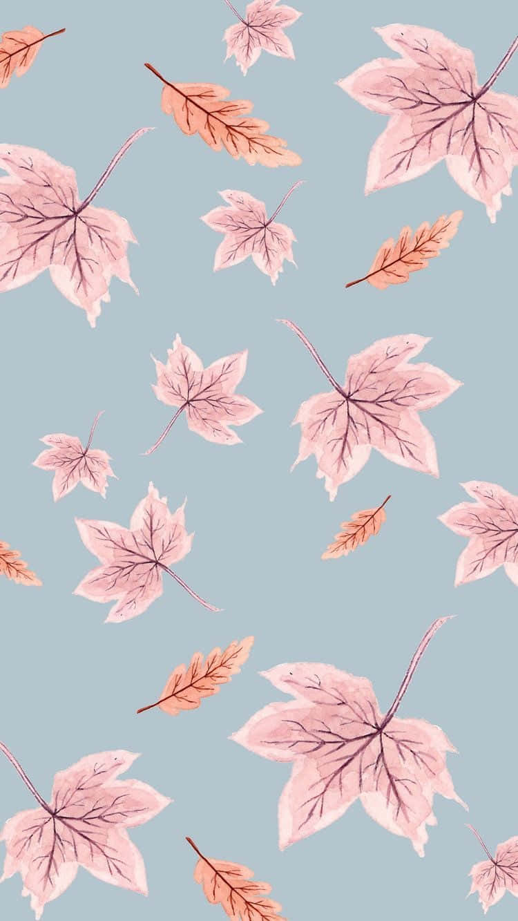 Fall Leaves 桌布 壁紙 — 粉紅色和橙色的楓葉在柔和的藍色背景上以精緻的水彩圖案輕輕飄浮。