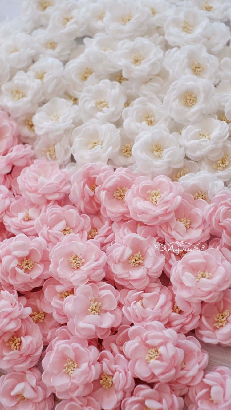 Pink Flowers 桌布 壁紙 — 粉紅色和白色布料花朵帶有金色中心，以密集、有紋理的圖案排列而成的柔和漸變。
