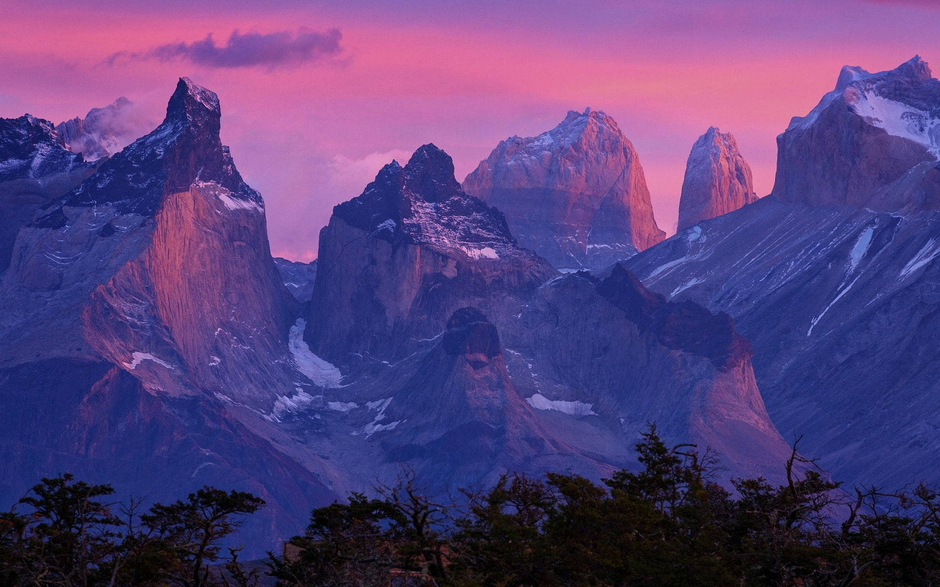 Patagonia 桌布 壁紙 — 粉紅色和紫色的日落沐浴著鋸齒狀的雪山，前景有樹木的剪影。