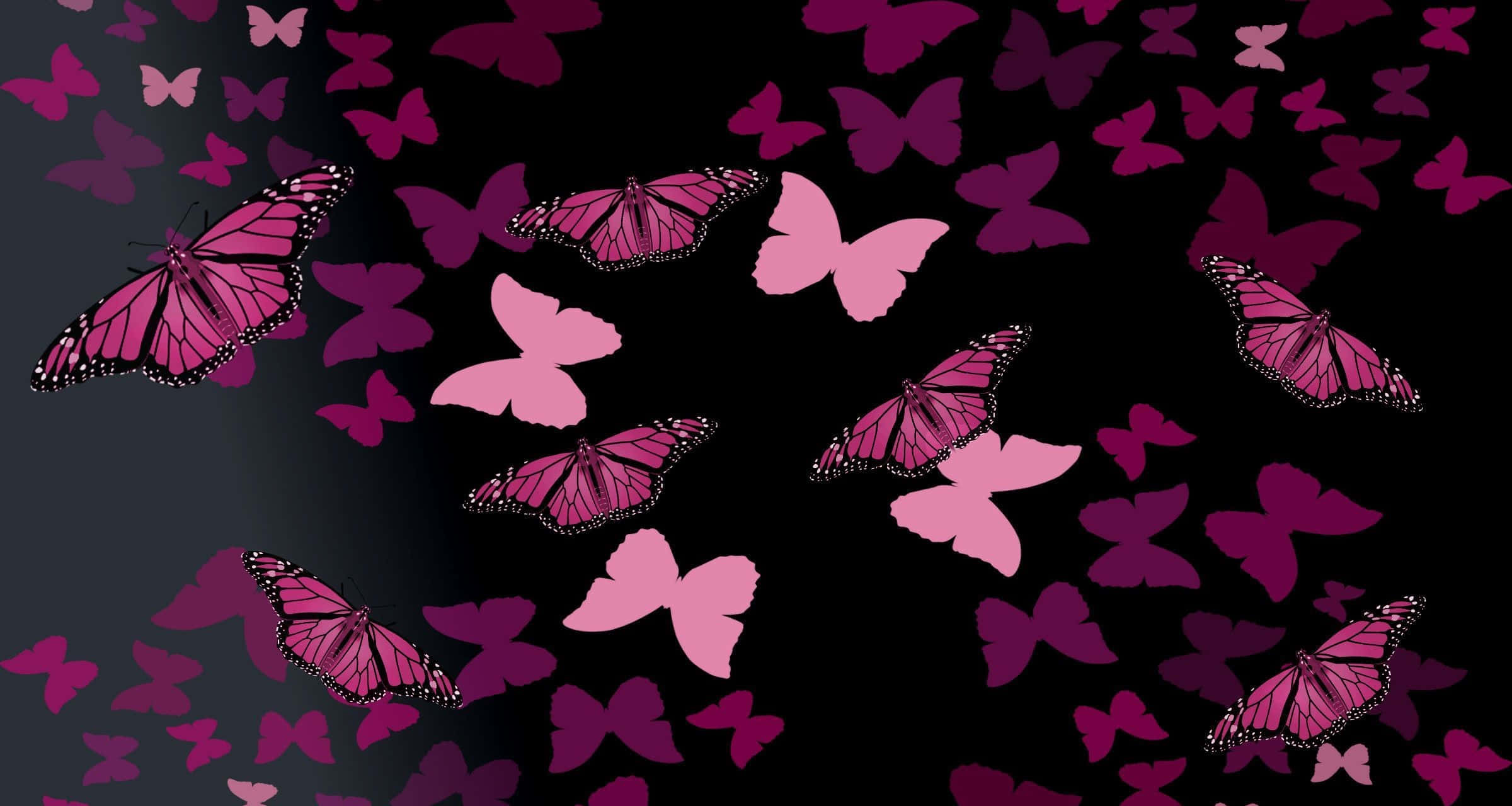 Dark Butterfly 桌布 壁紙 — 粉紅色和紫色的蝴蝶在深色漸層背景上以充滿活力的數位圖案飛舞。