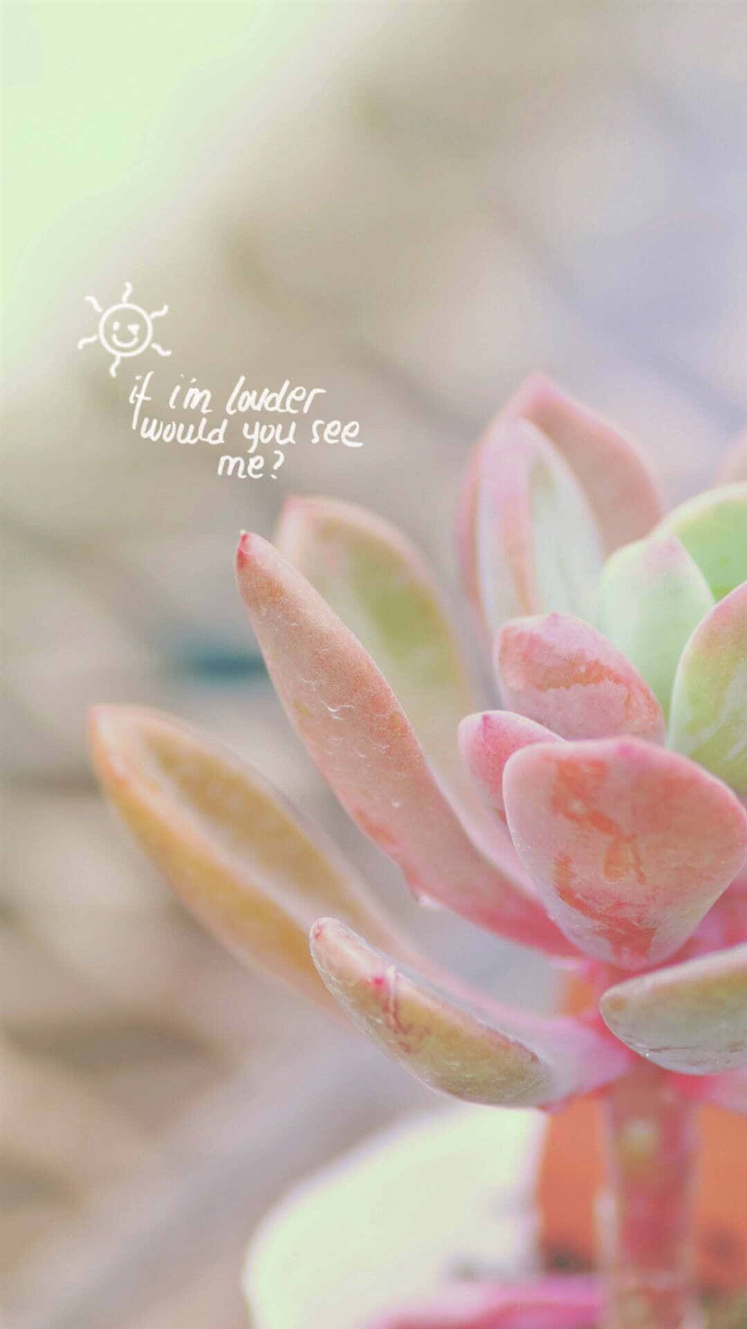 花 桌布 壁紙 — 粉紅色和綠色多肉植物的特寫，帶有柔和模糊的背景和手寫文字，詢問更大聲是否會讓你看到它。