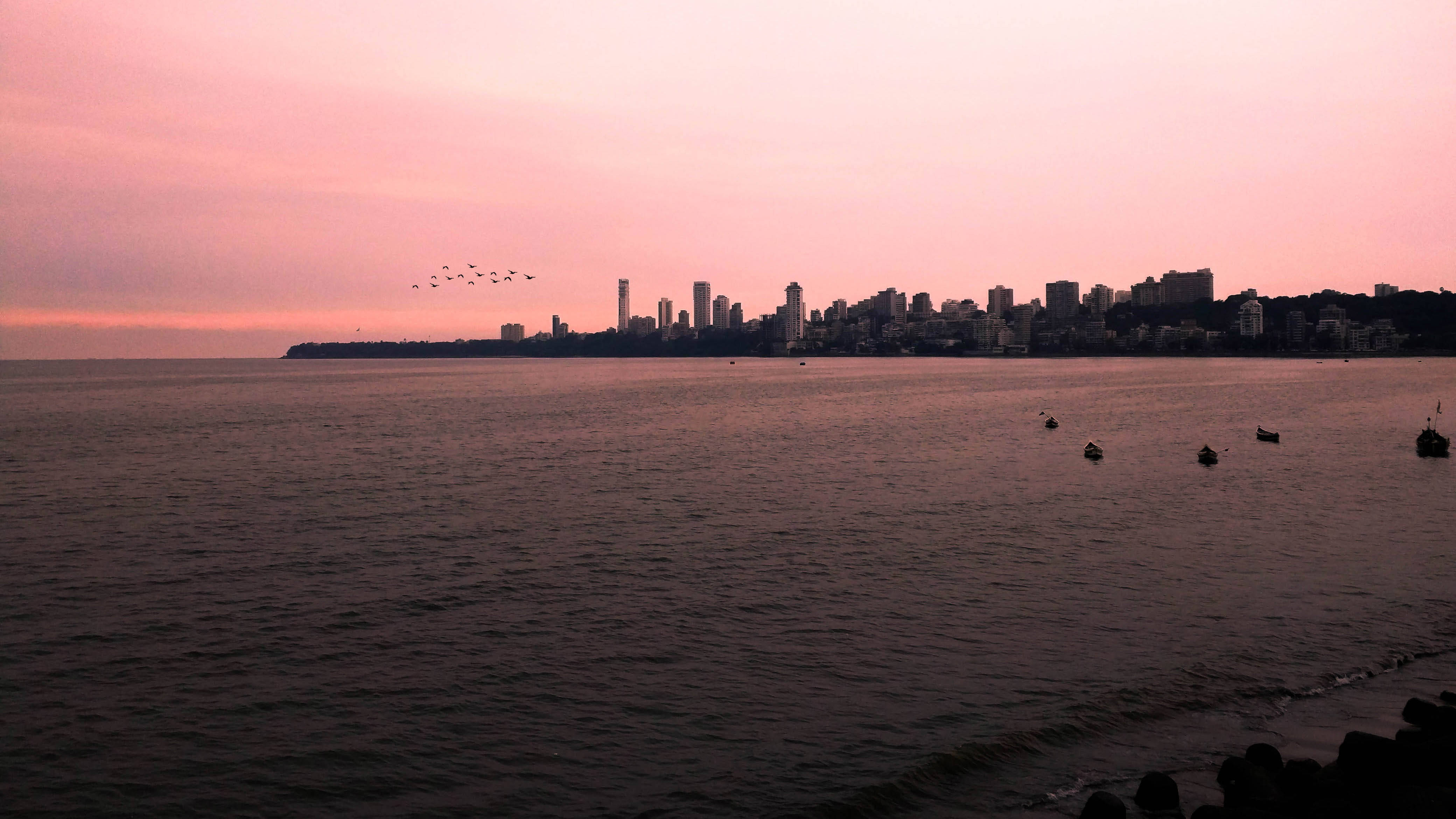Mumbai 桌布 壁紙 — 粉紅色日落為沿海城市天際線投下寧靜的光芒，平靜的水面上有船隻剪影和飛鳥。