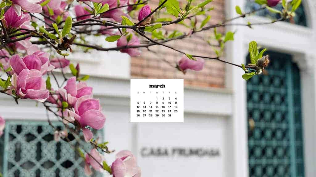 March Desktop 桌布 壁紙 — 粉紅色木蘭花在白色建築前的樹枝上盛開，並帶有三月日曆疊加層。