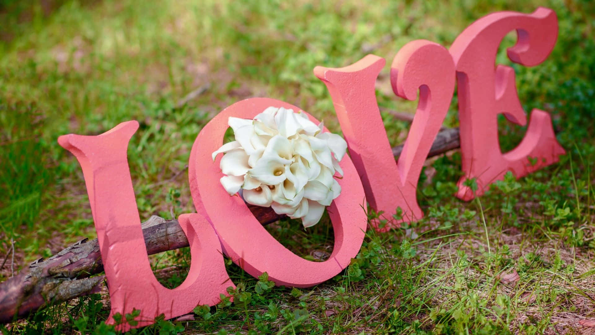 愛心 桌布 壁紙 — 粉紅色木製字母拼出LOVE，白色馬蹄蓮藏在O字中，放在草地上的木頭旁邊。