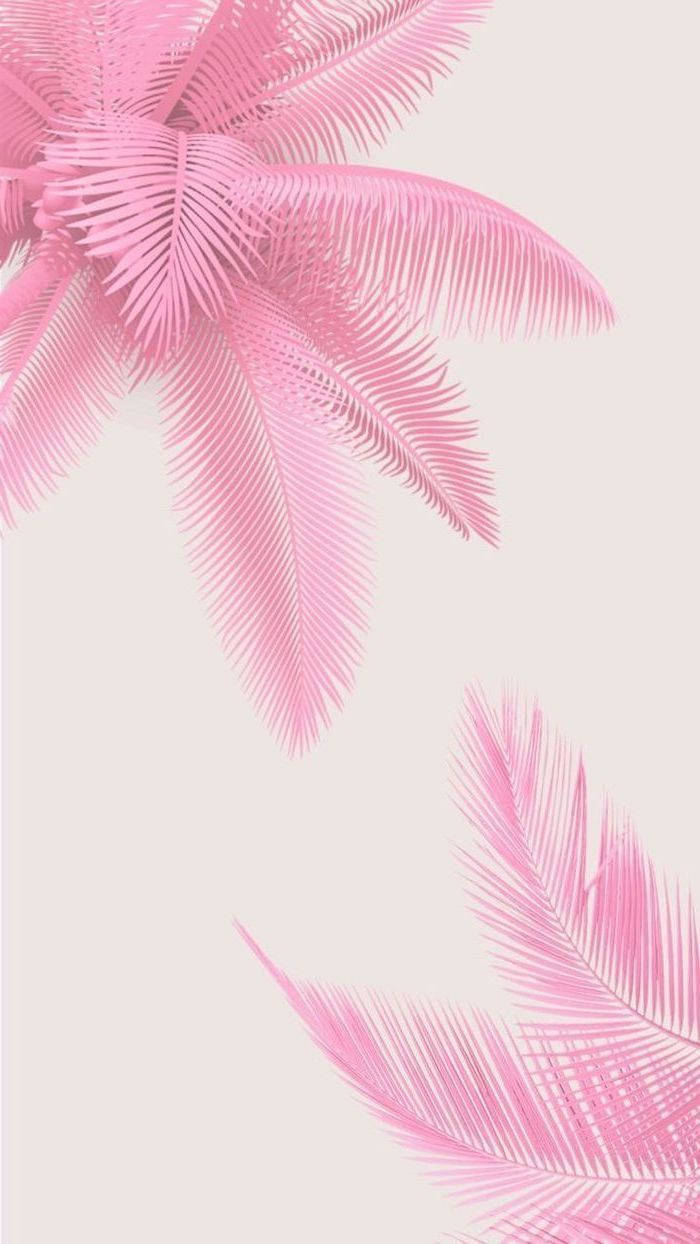 girly pink aesthetic 桌布 壁紙 — 粉紅色棕櫚葉在柔和的米色背景上優雅地彎曲，呈現極簡熱帶設計。