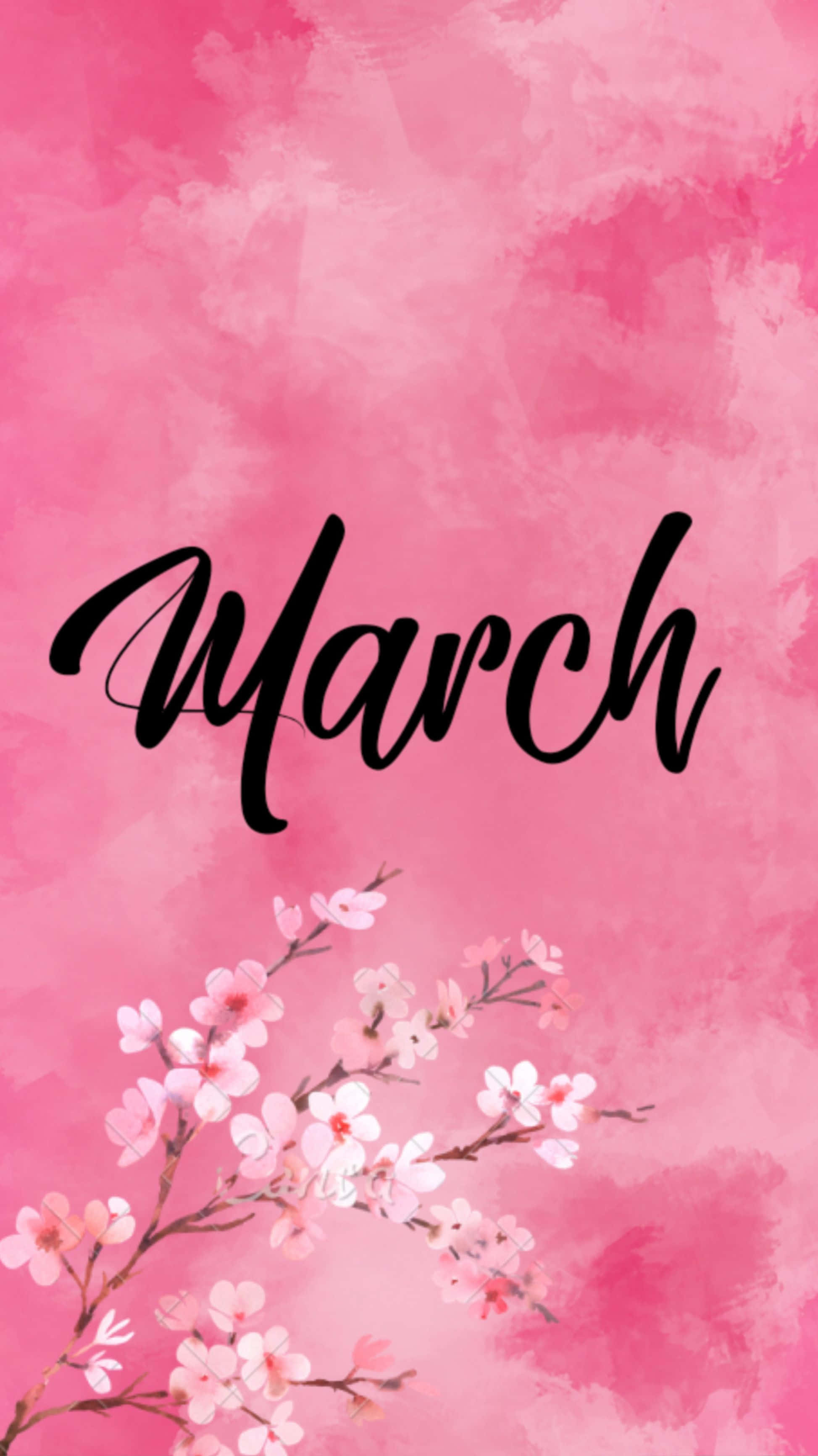 March 桌布 壁紙 — 粉紅色水彩背景，底部有黑色草書 March 文字和精緻的櫻花枝。