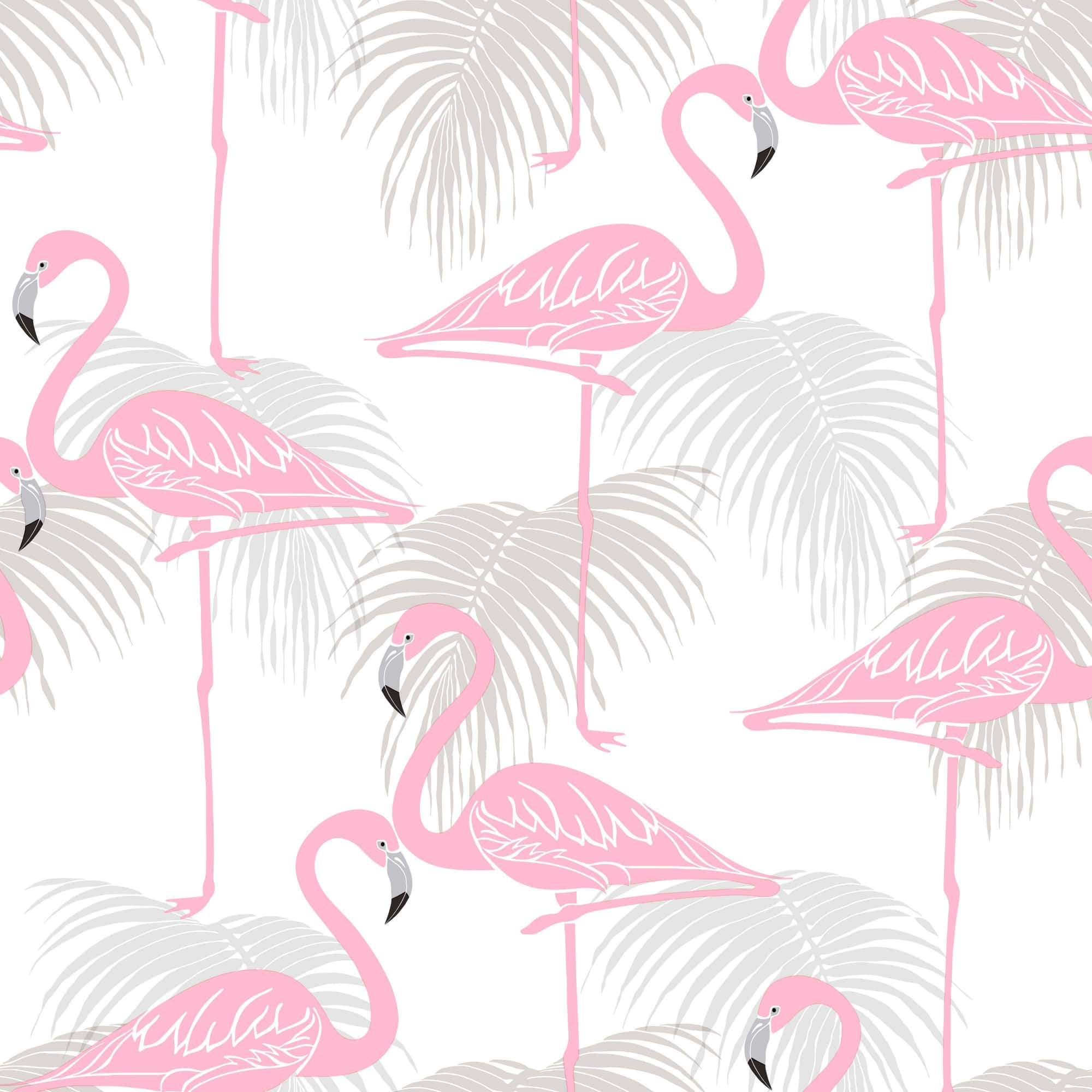 Pink Flamingos 桌布 壁紙 — 粉紅色火鶴在灰色棕櫚葉間優雅地站立，在潔白背景上形成重複圖案。