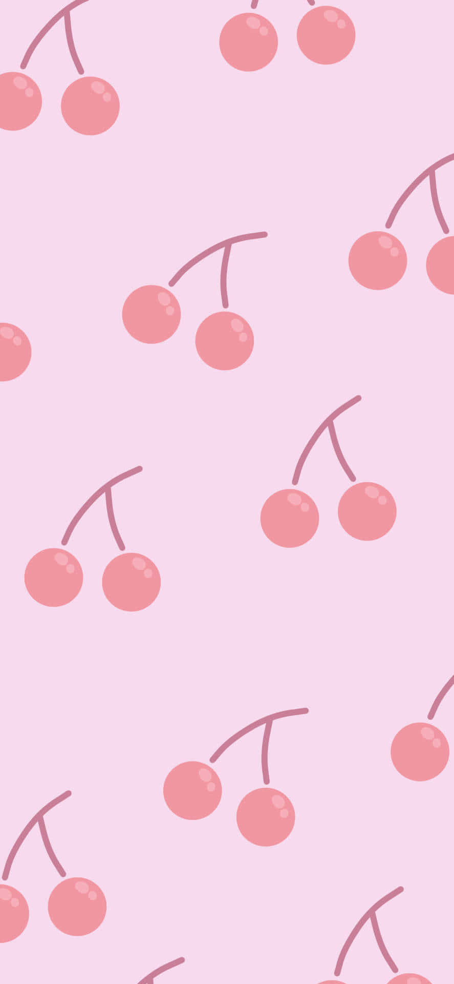 Pastel Pink Color 桌布 壁紙 — 粉紅色的櫻桃簇在柔和的粉紅色背景上以重複圖案輕輕飄浮。