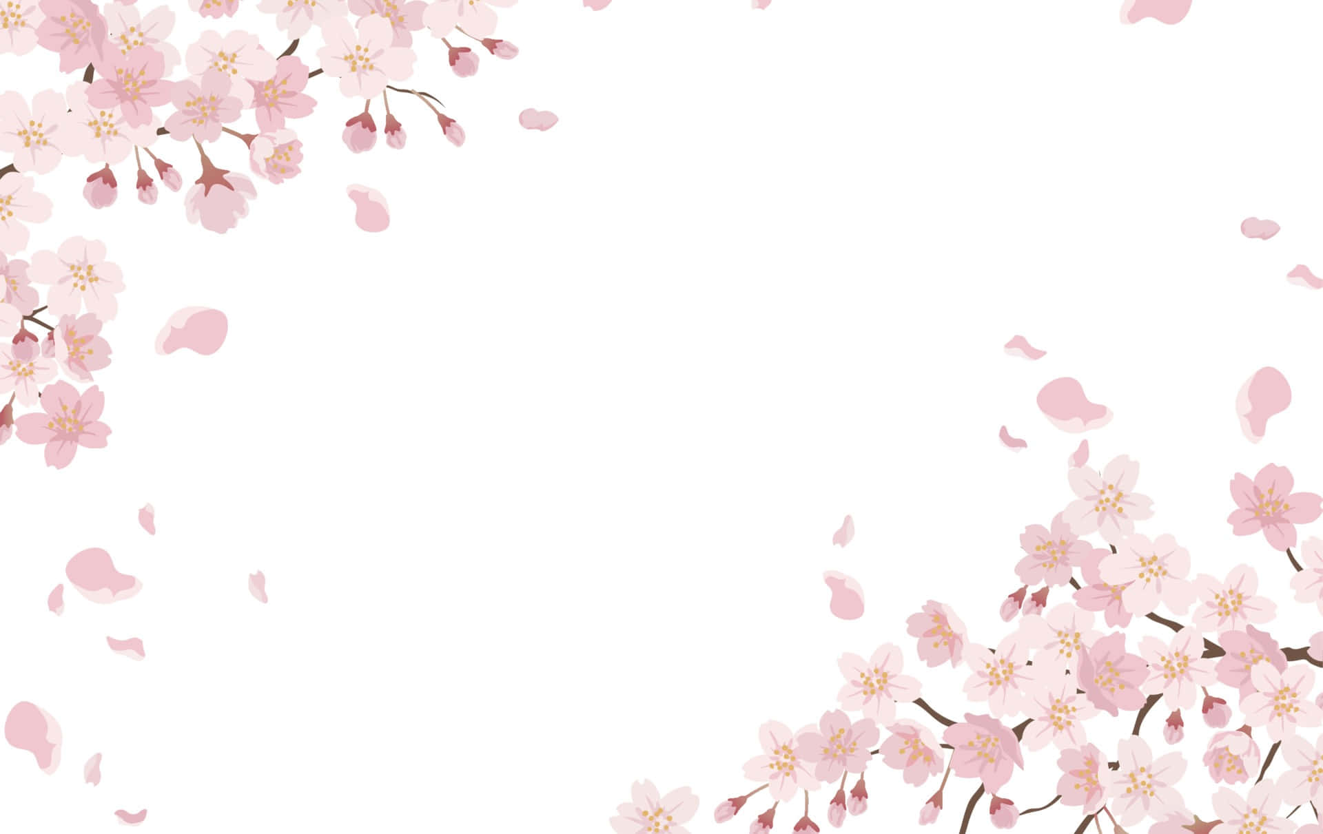 Sakura 桌布 壁紙 — 粉紅色的櫻花和花瓣在柔和的數位插圖中框住了乾淨白色背景的角落。