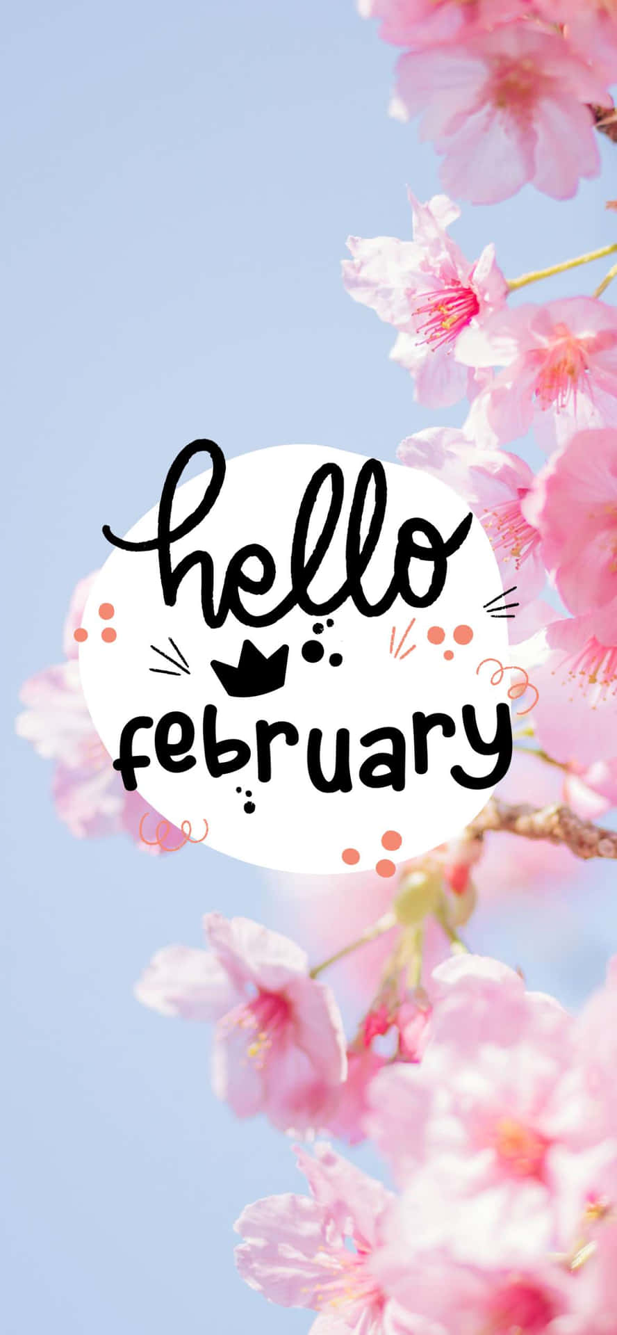 二月 桌布 壁紙 — 粉紅色的櫻花圍繞著一個白色圓圈，上面有「hello february」的文字，背景是柔和的藍天。
