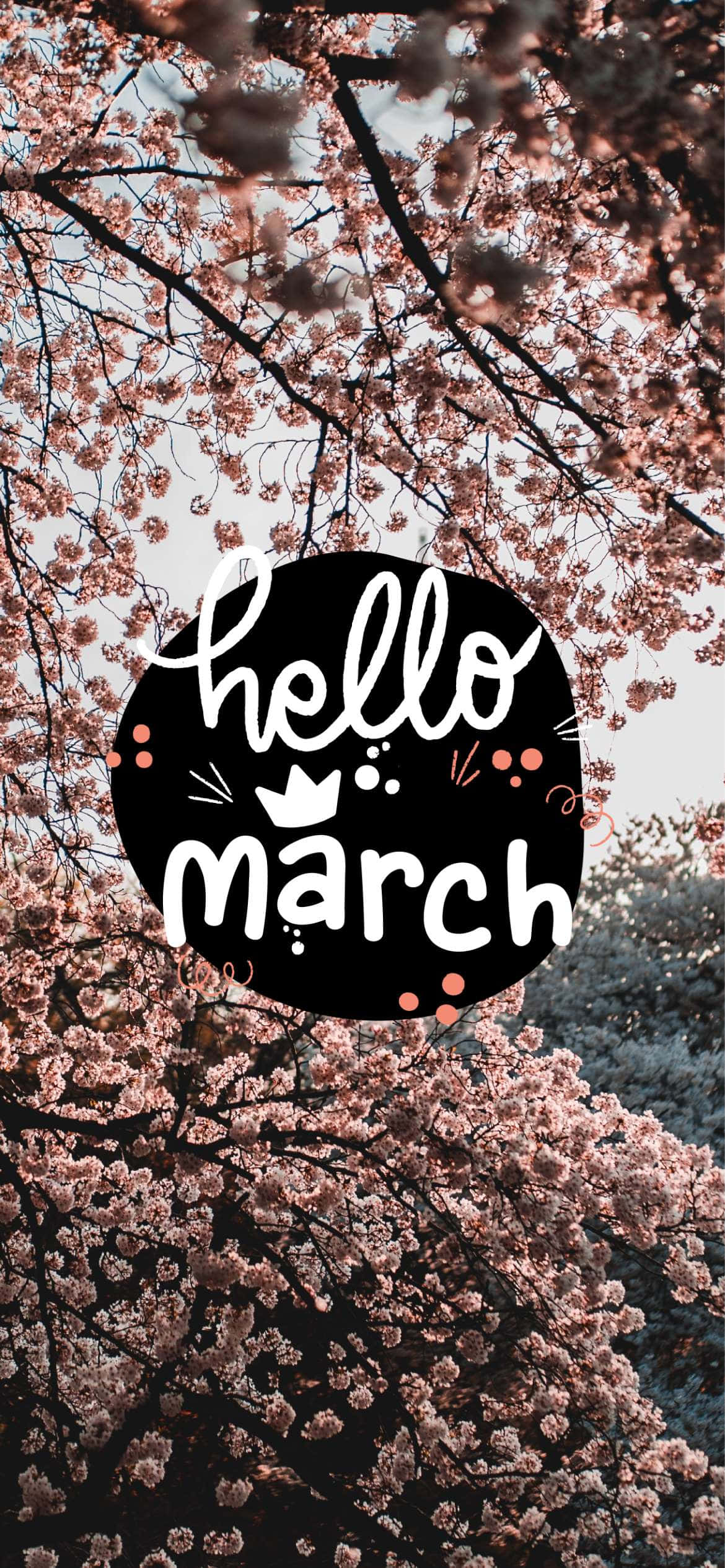 Hello March 桌布 壁紙 — 粉紅色的櫻花圍繞著一個黑色圓圈，上面有白色草書文字，在柔和的天空下寫著「你好三月」。