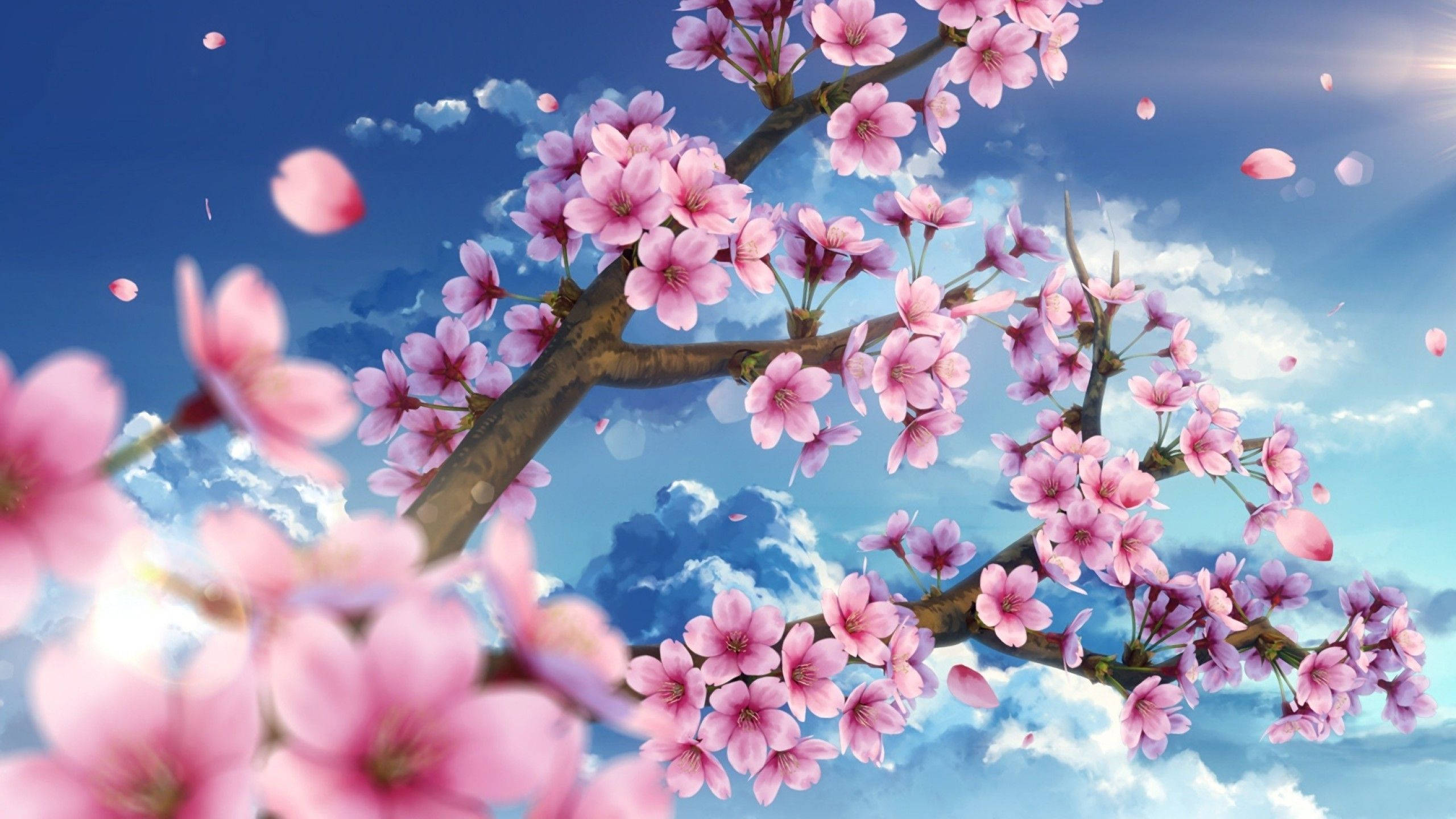 Sakura 桌布 壁紙 — 粉紅色的櫻花在明亮的藍天下盛開，伴隨著柔軟的白雲和飄落的花瓣。