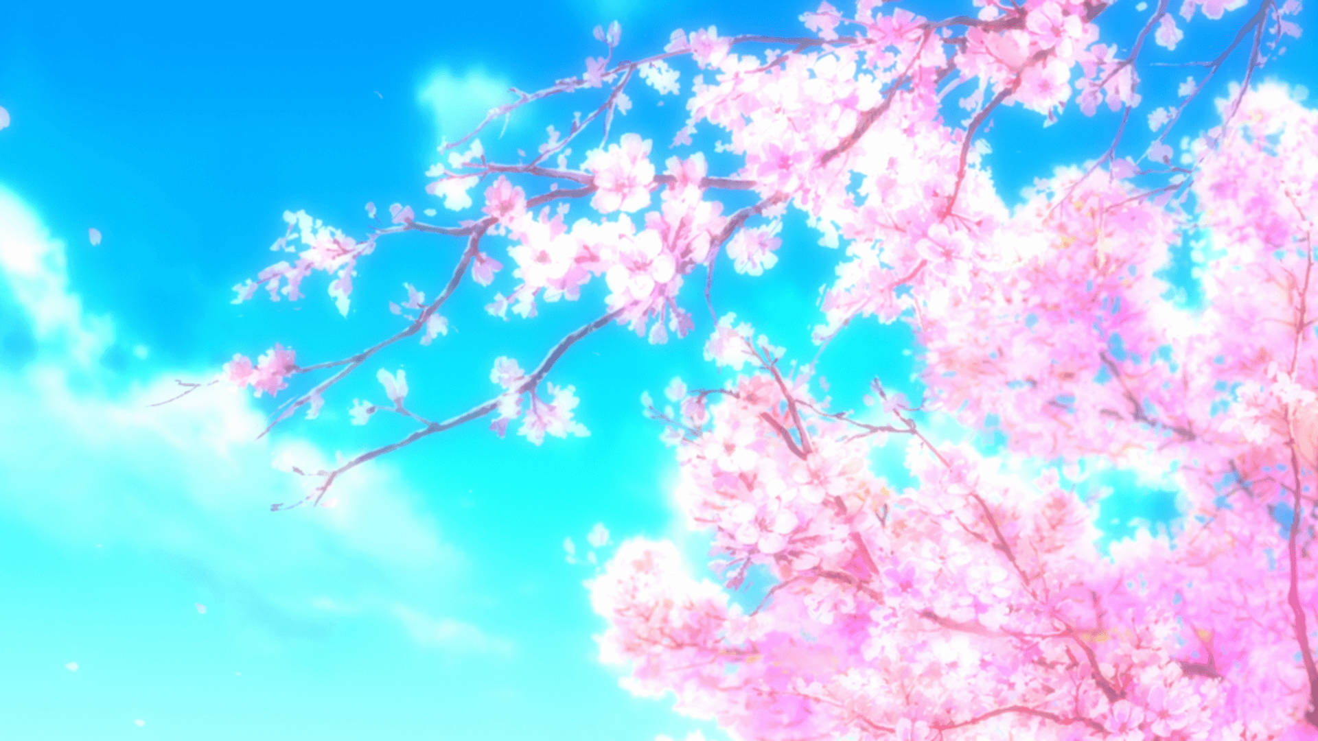 Sakura 桌布 壁紙 — 粉紅色的櫻花在明亮的青色天空下，伴隨著柔軟的雲朵和飄落的花瓣，生機勃勃地綻放。