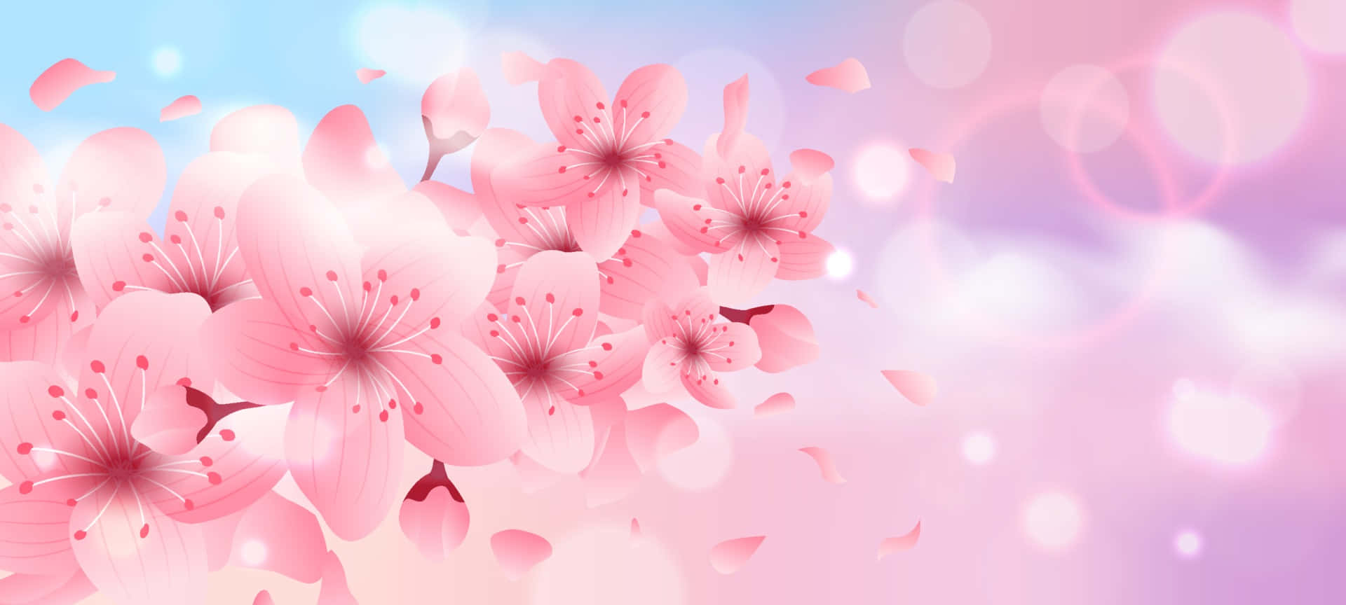 Pink Cherry Blossom 桌布 壁紙 — 粉紅色的櫻花在柔和粉彩的天空中盛開，伴隨著飄浮的花瓣和夢幻般的散景燈光。