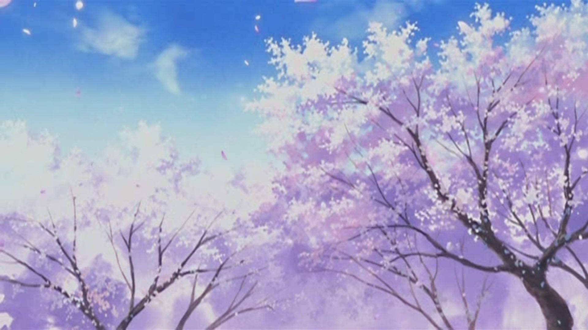 美學 Tumblr 桌布 壁紙 — 粉紅色的櫻花在樹上盛開，映襯著柔和的藍天，花瓣輕輕飄落。
