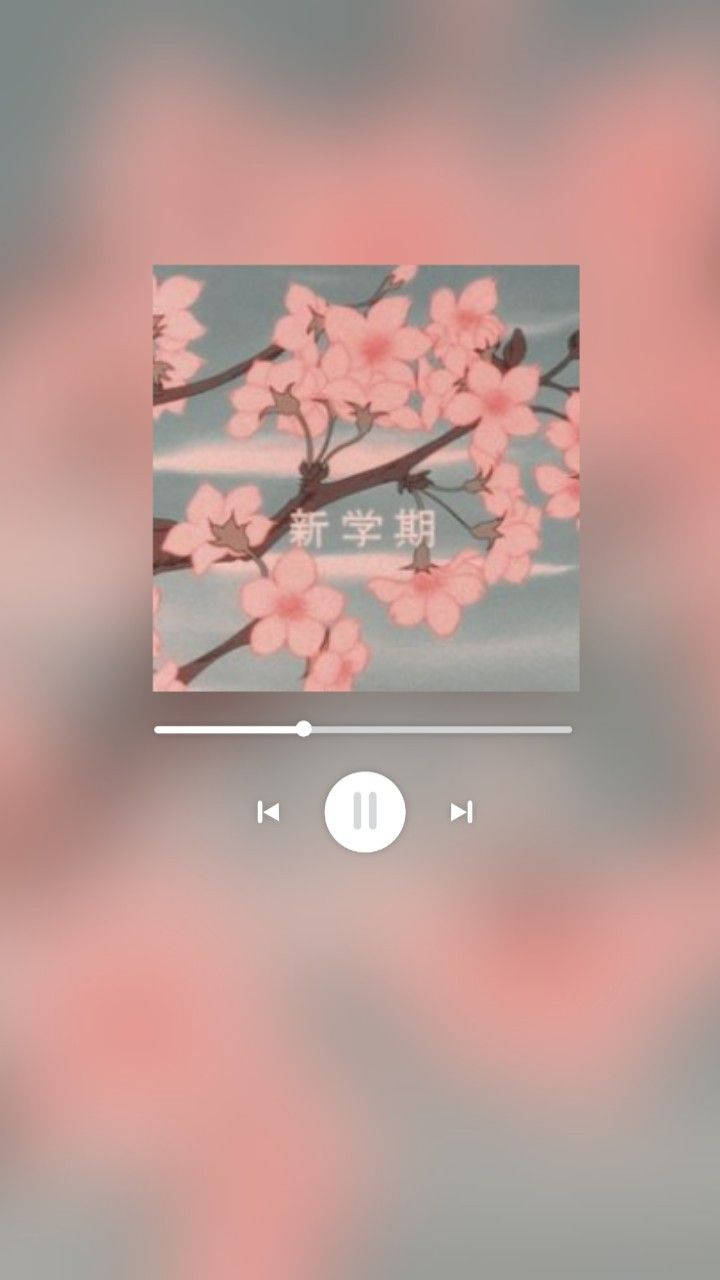 櫻花 桌布 壁紙 — 粉紅色的櫻花在深色樹枝上盛開，襯托著柔和的藍天，呈現出細膩的動漫風格插圖。