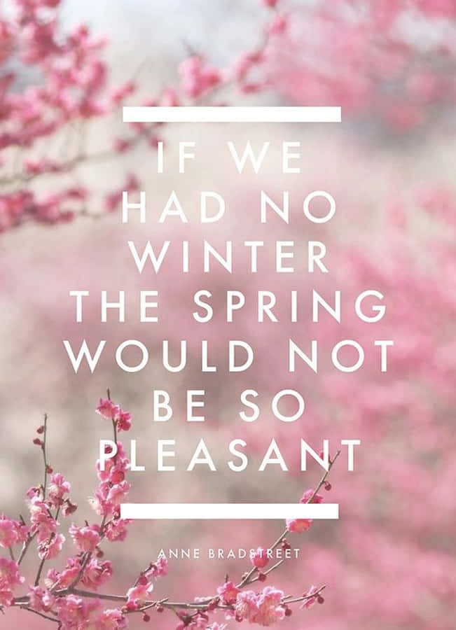 Spring Inspirational 桌布 壁紙 — 粉紅色的櫻花在白色勵志名言背後柔和地模糊，名言關於冬天和春天。