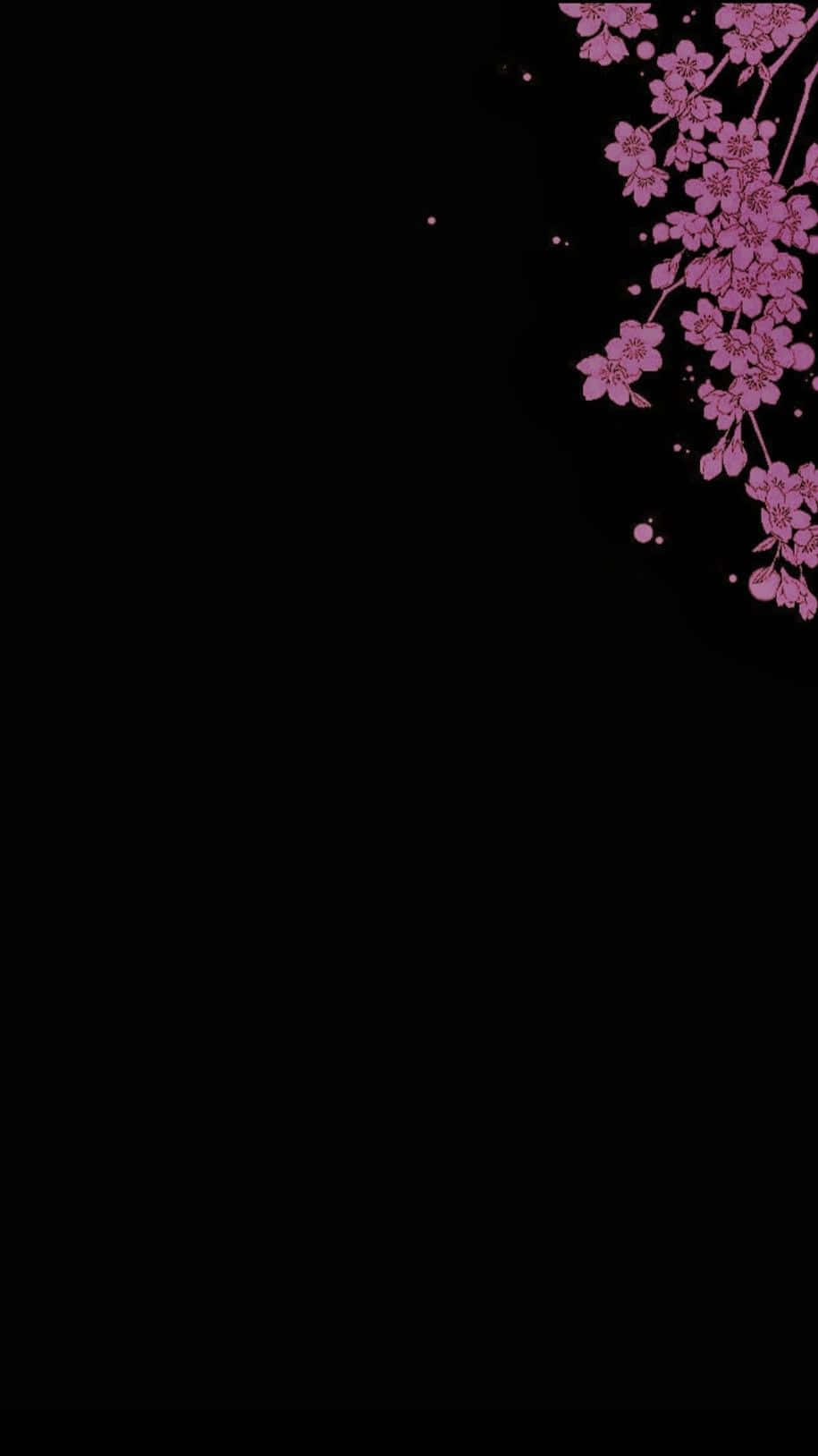 Dark Cherry Blossom 桌布 壁紙 — 粉紅色的櫻花在純黑色背景上以極簡數位藝術風格綻放。