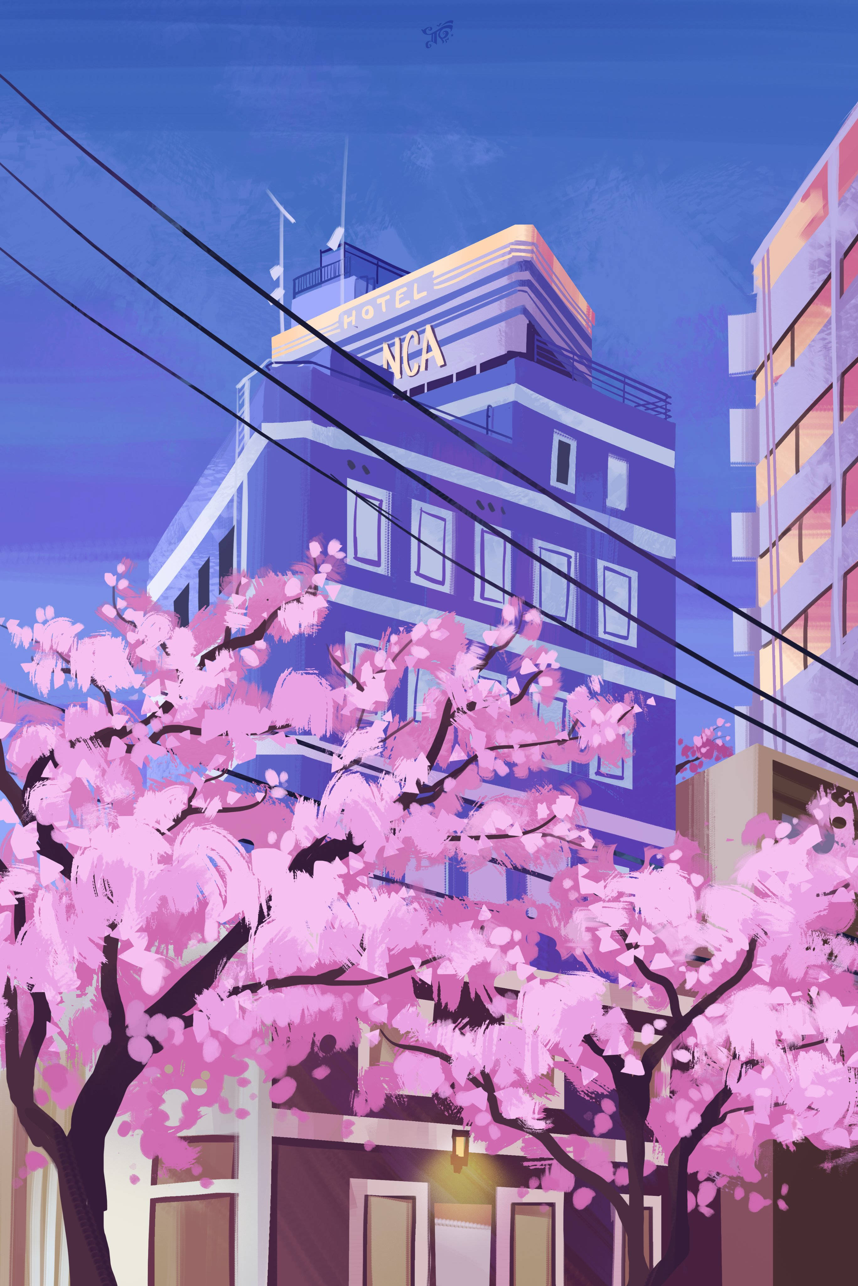 japanese sakura 桌布 壁紙 — 粉紅色的櫻花在紫色酒店建築前盛開，映襯著暮色天空。