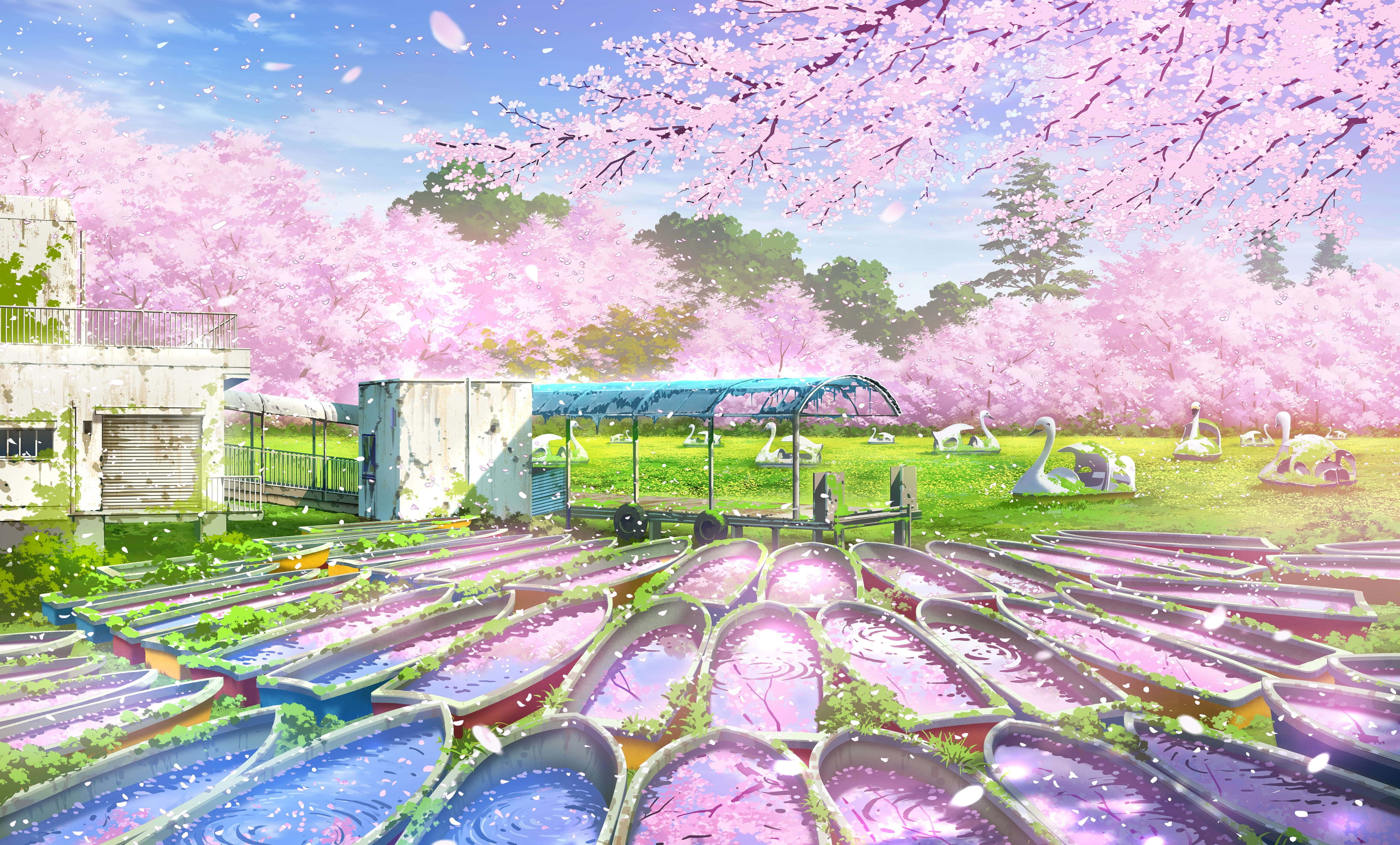 Anime Cherry Blossom 桌布 壁紙 — 粉紅色的櫻花如雨般落在色彩繽紛的划艇場上，天空湛藍。