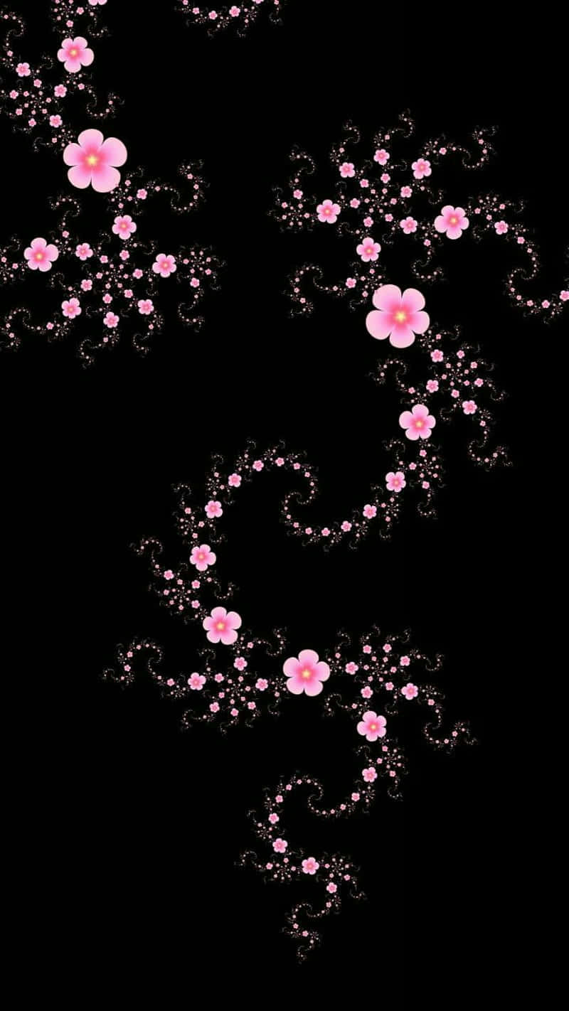 Black And Pink Flower 桌布 壁紙 — 粉紅色的櫻花帶有發光的花蕊，沿著旋轉的黑色鏤空枝條在純黑色背景上盛開。