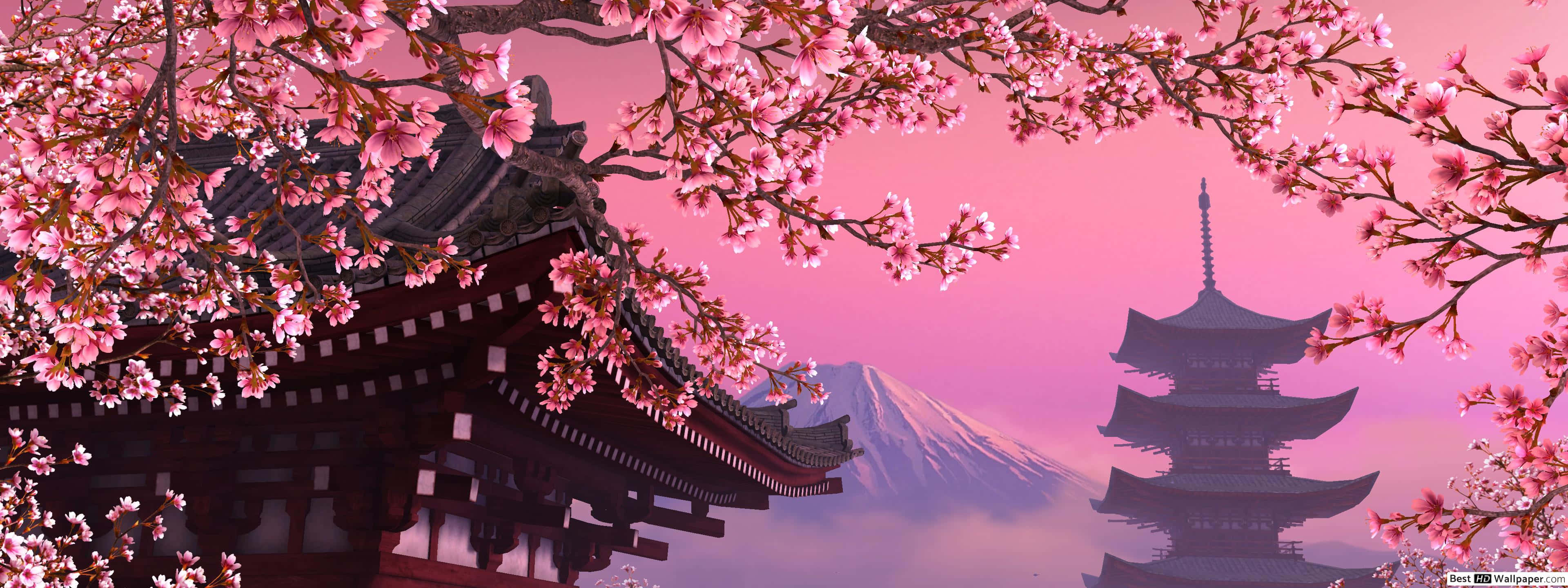 Cool Japanese Tree 桌布 壁紙 — 粉紅色的櫻花框住傳統的日本寺廟和寶塔，背景是柔和的粉紅色天空和遠處的富士山。