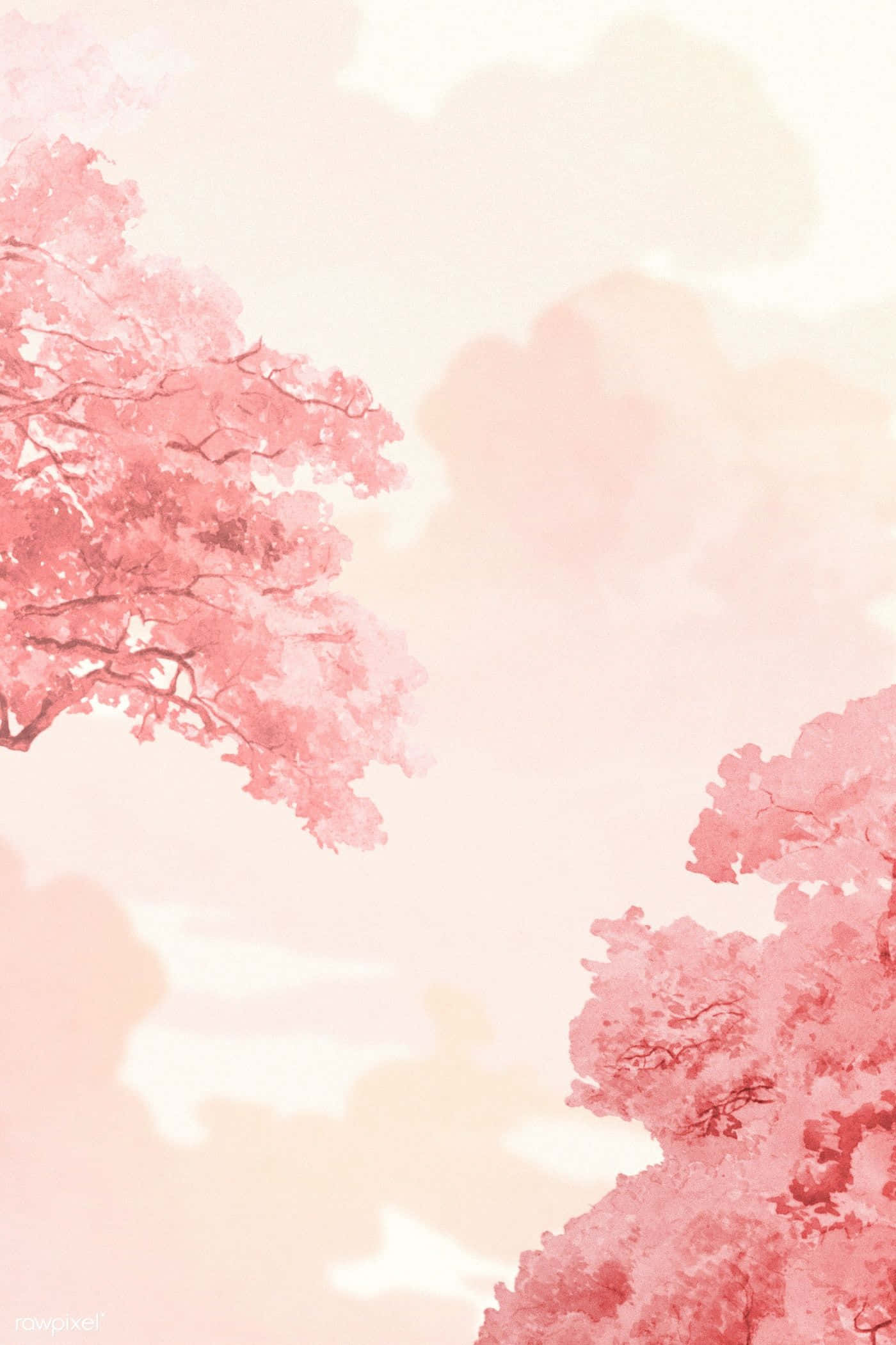 Pink Trees 桌布 壁紙 — 粉紅色的櫻花樹在柔和的水彩插圖中襯托出柔和的粉彩天空。