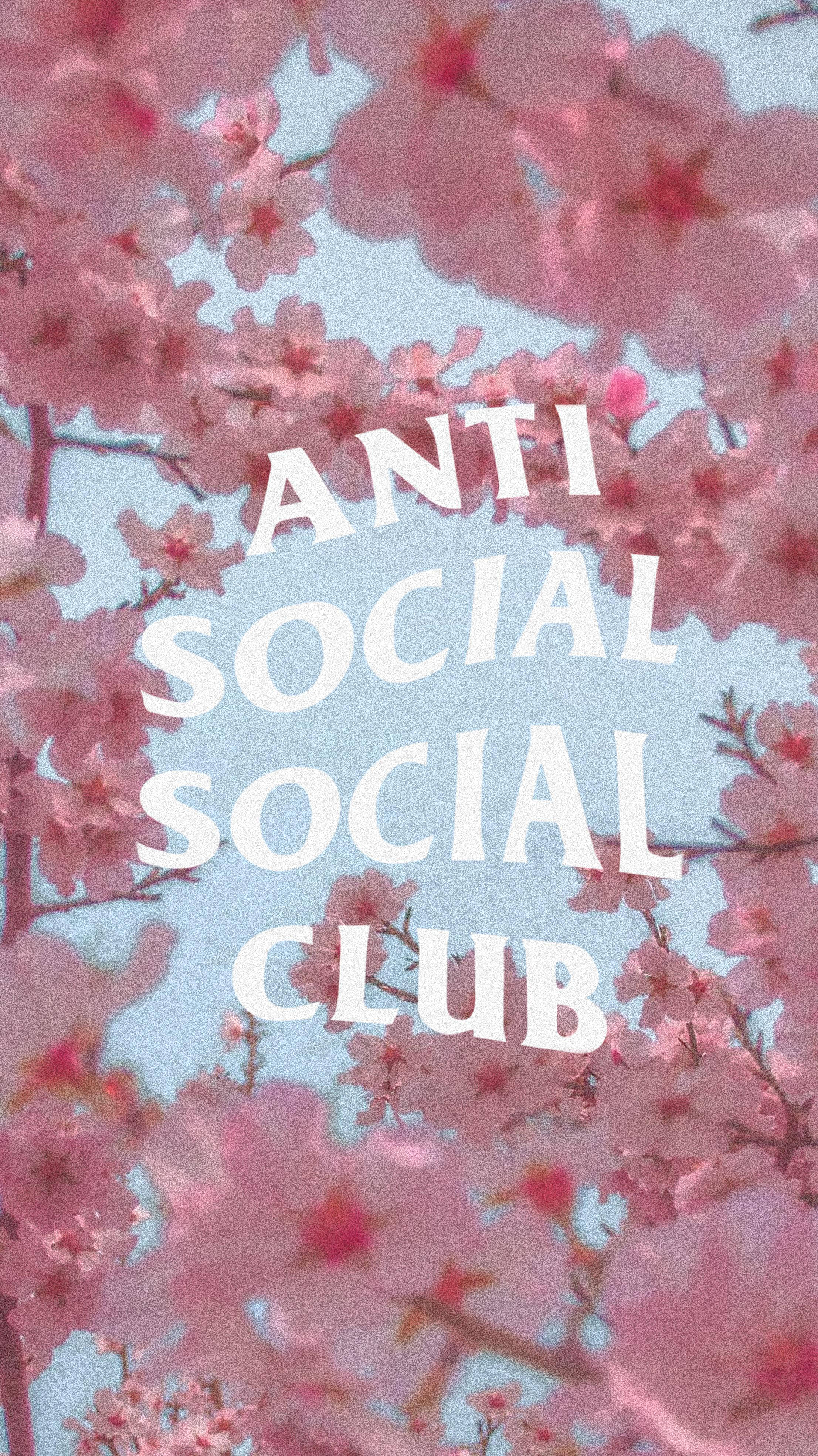 club 桌布 壁紙 — 粉紅色的櫻花環繞著粗體白色文字，寫著 anti social social club，背景是柔和的藍天。