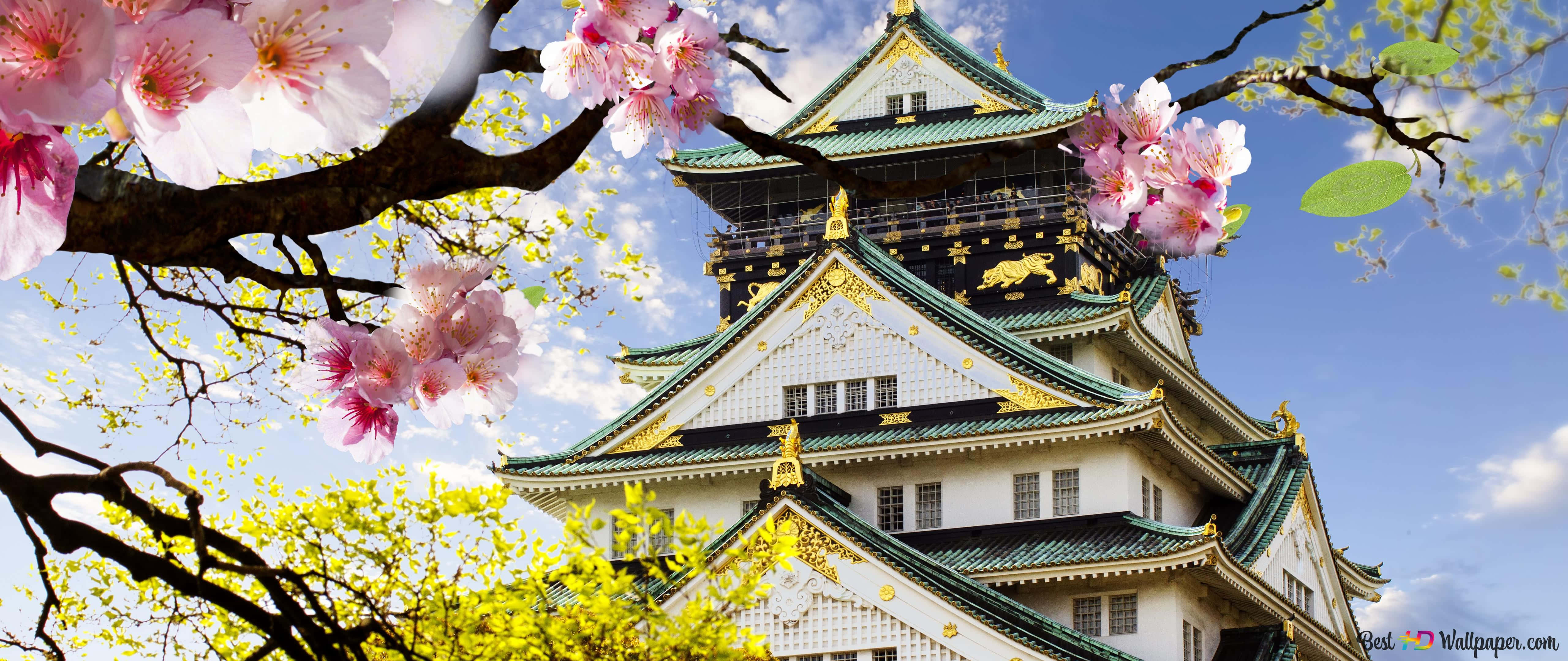 Cool Japanese Tree 桌布 壁紙 — 粉紅色的櫻花襯托著雄偉的大阪城，背景是明亮的藍天和蓬鬆的白雲。