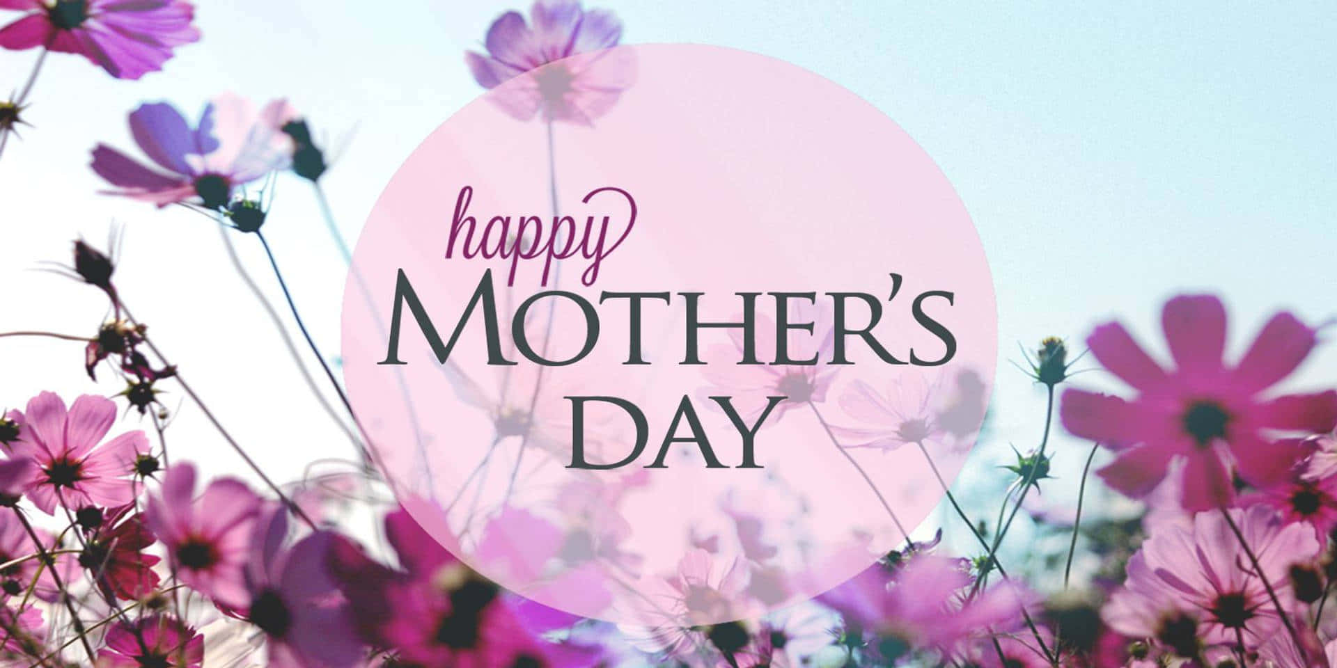Happy Mothers Day HD 桌布 壁紙 — 粉紅色的波斯菊在柔和的粉紅色圓圈周圍盛開，襯托著明亮的天空，並帶有優雅的「happy mother's day」文字。