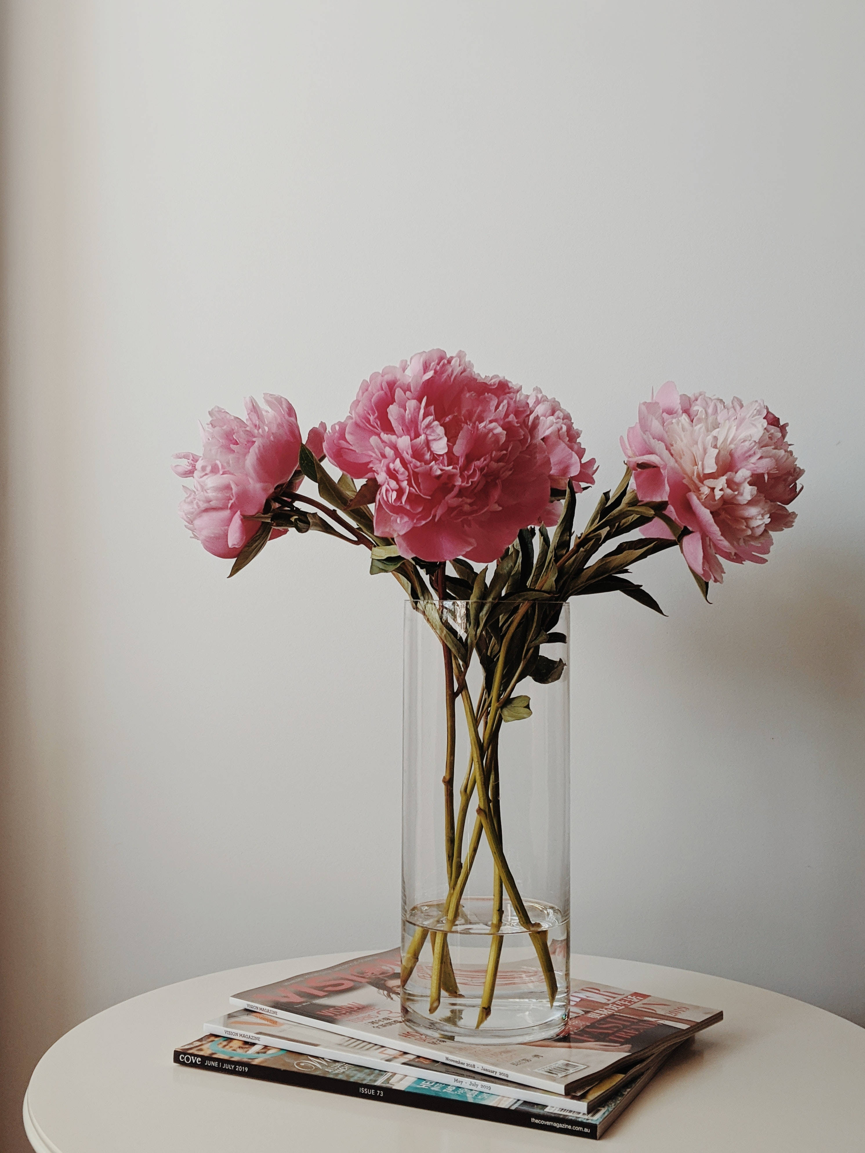 Flowers 桌布 壁紙 — 粉紅色的牡丹花優雅地綻放在一個透明玻璃花瓶中，花瓶放在白色桌子上的一疊雜誌上。
