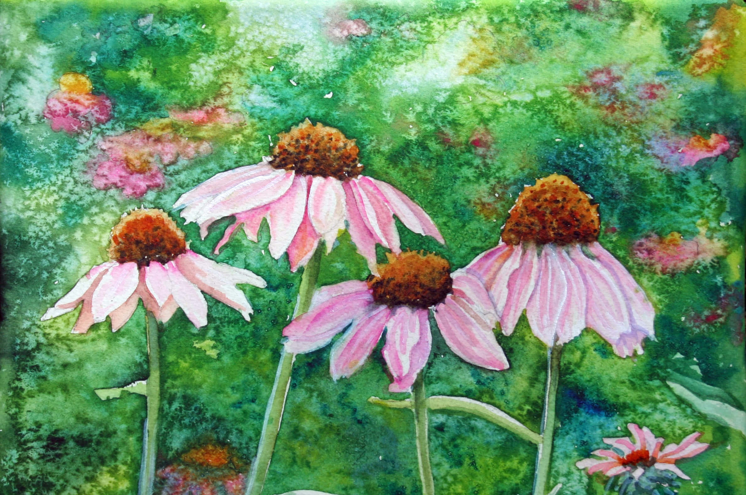 Painting 桌布 壁紙 — 粉紅色的紫錐花帶有棕色中心，在茂盛的綠色水彩花園背景下綻放。